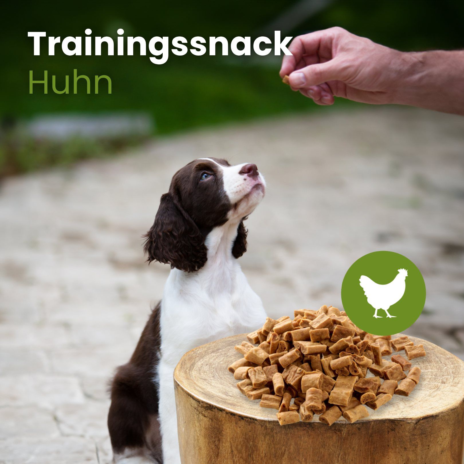 Hundefutter-Leckerlis: Huhn, ein Hund wird trainiert. Kleine, braune, getrocknete Stücke.