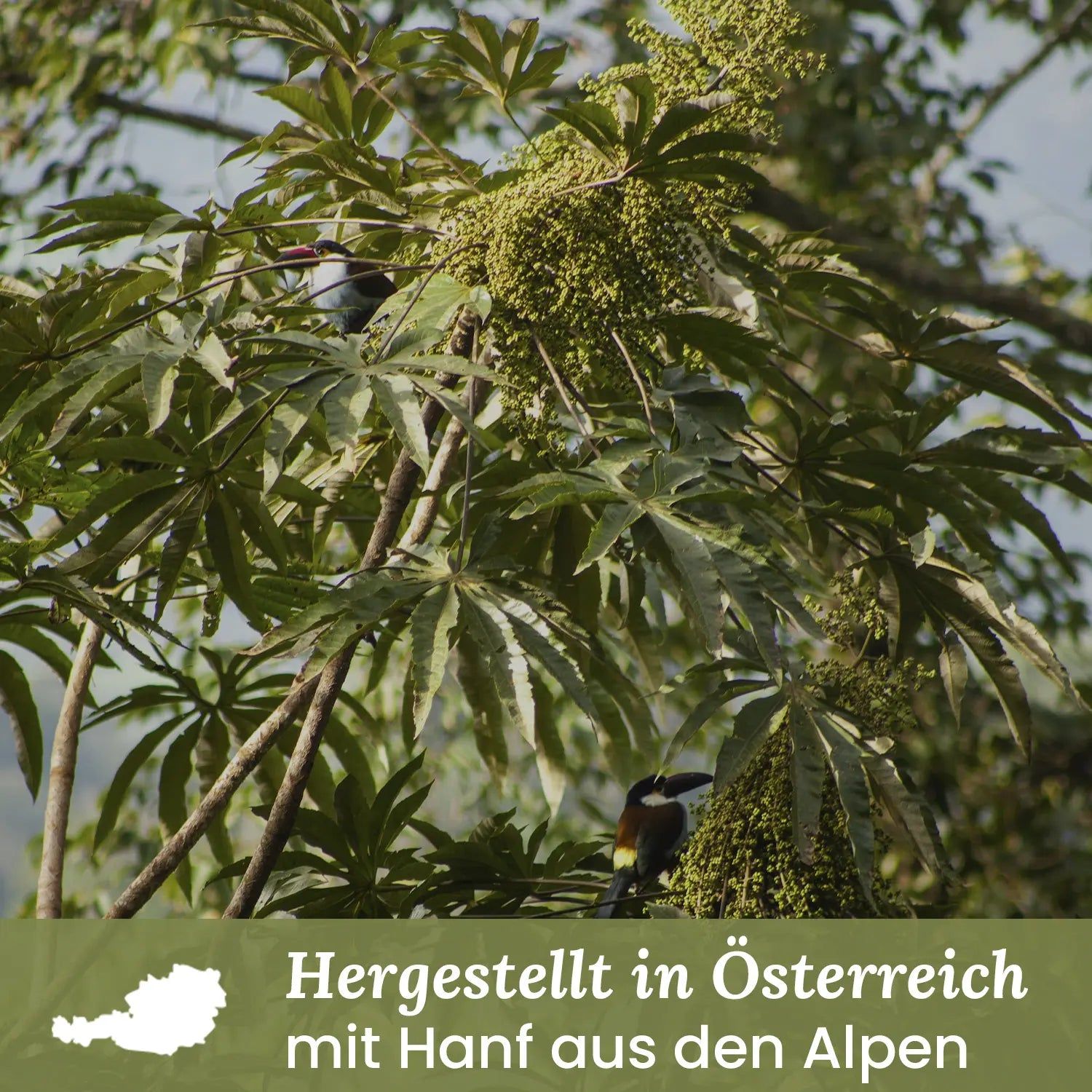 Blätter und Zweige. Text: Hergestellt in Österreich mit Hanf aus den Alpen.