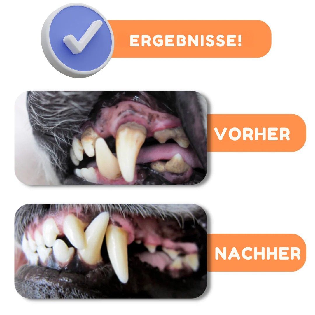 Zähne vor und nach der Reinigung. Text: Ergebnisse! Vorher: Zähne mit Belägen. Nachher: Saubere Zähne.