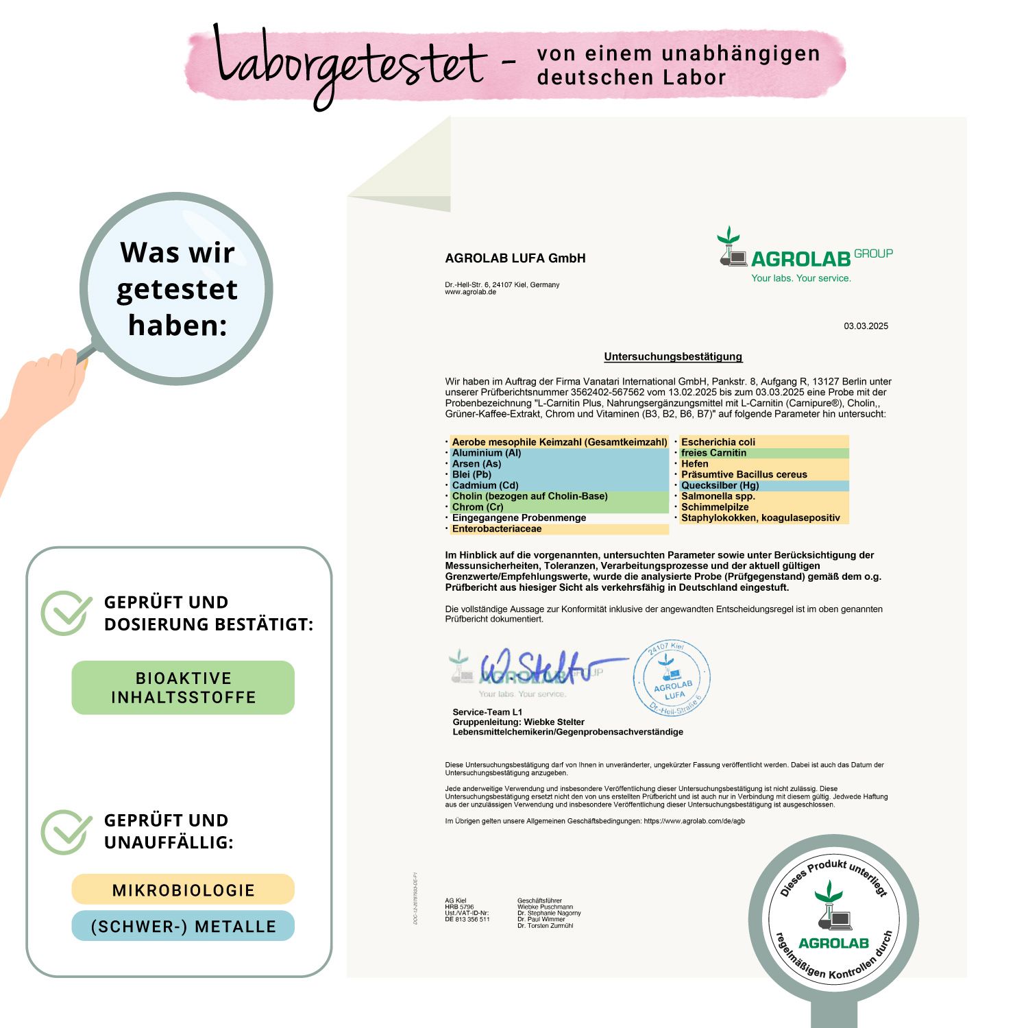 VEGAVERO L-Carnitin Plus