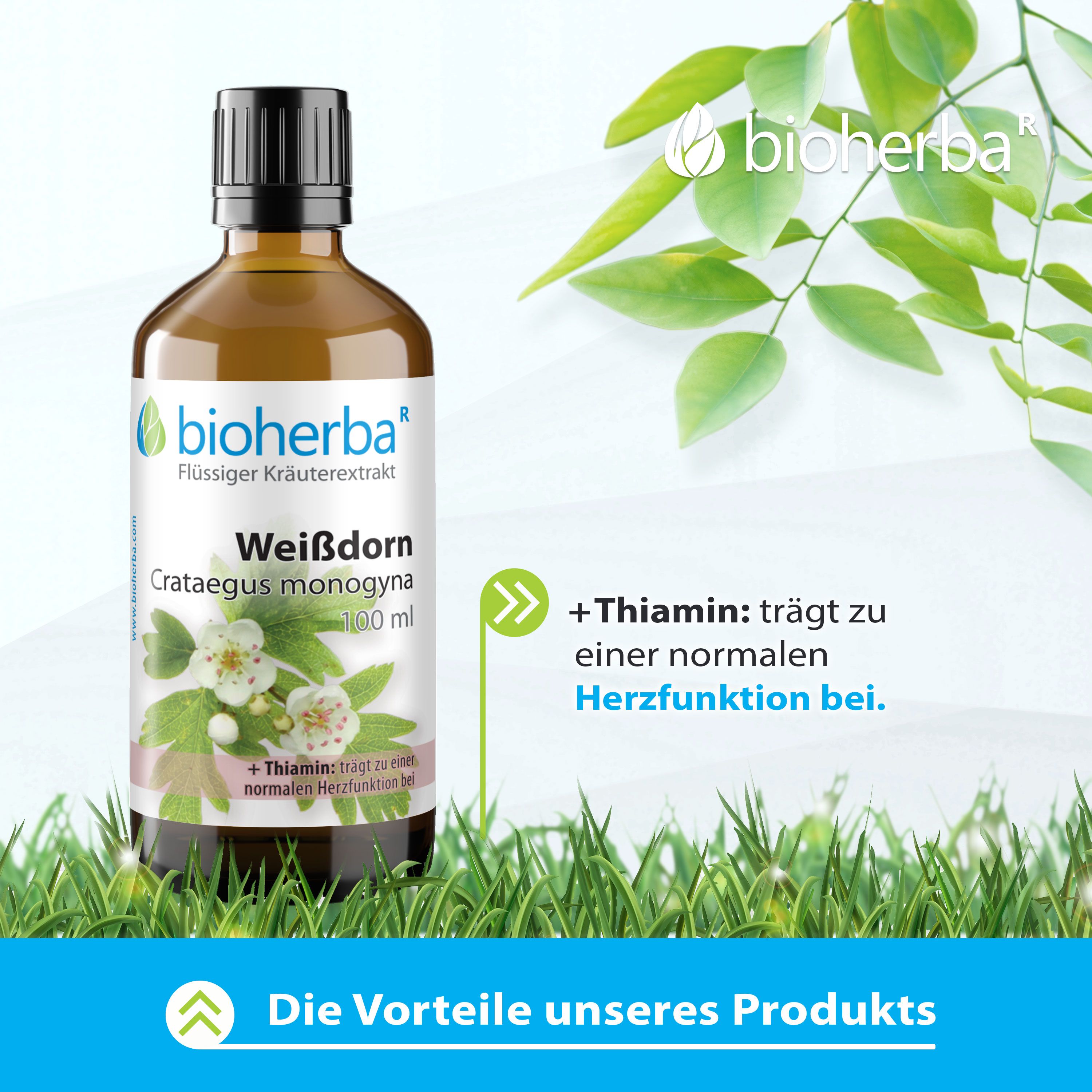 Bioherba Weissdorn Crataegus monogyna Tropfen Tinktur 100 ml