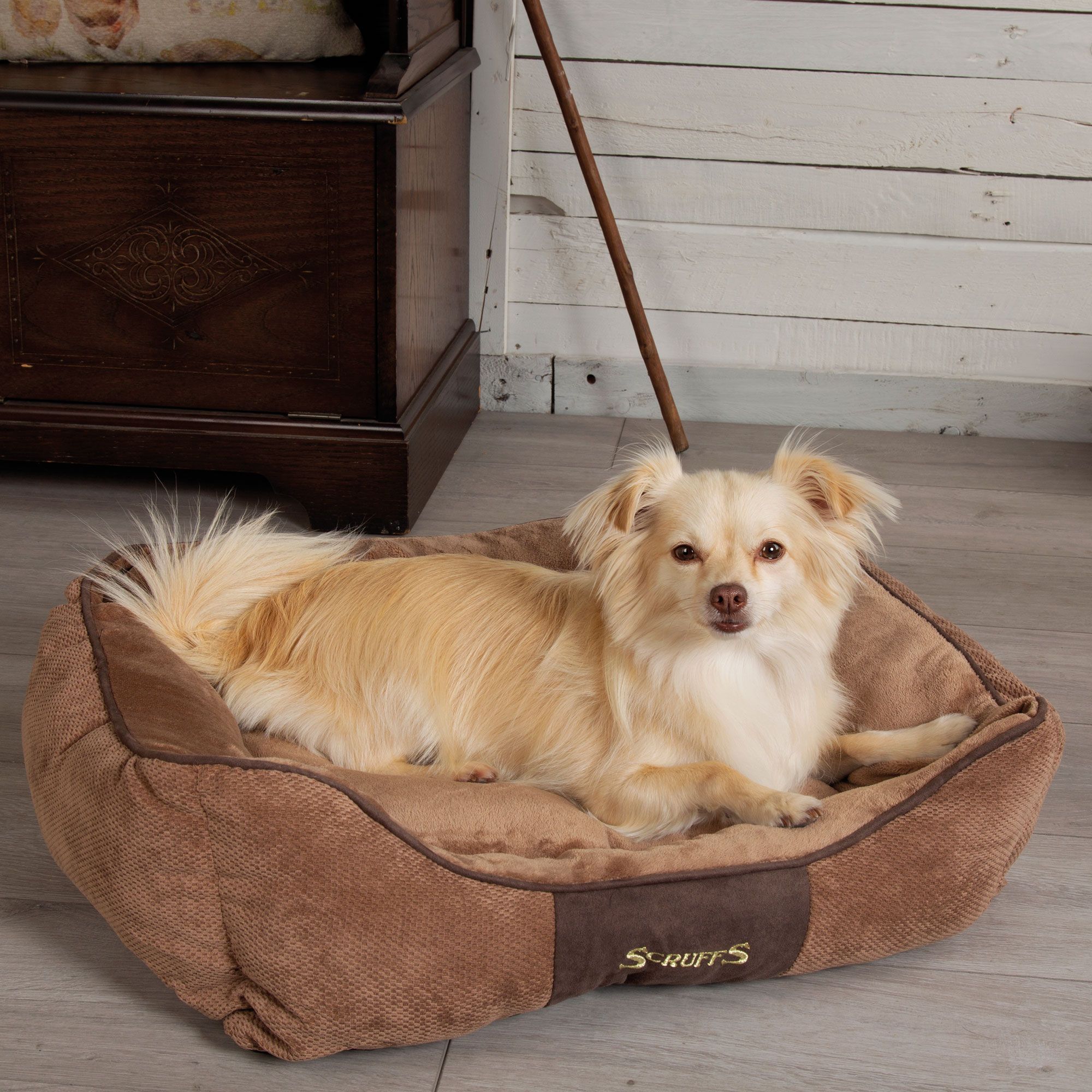 SCRUFFS® Chester Box Bett - hochwertig - waschbar- Plüschstoff