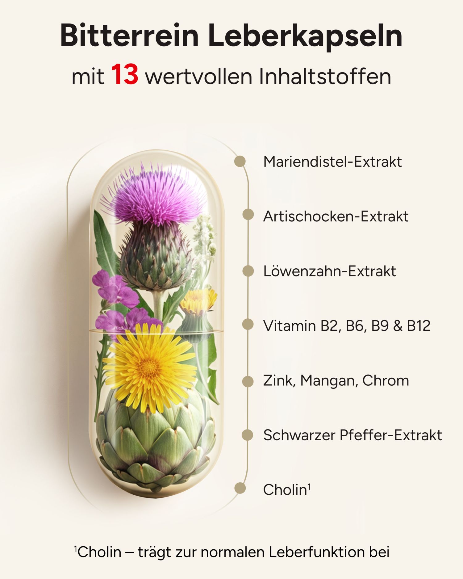 Kapsel mit Mariendistel, Artischocke, Löwenzahn und weiteren Inhaltsstoffen. Text: Bitterrein Leberkapseln mit 13 Inhaltsstoffen.