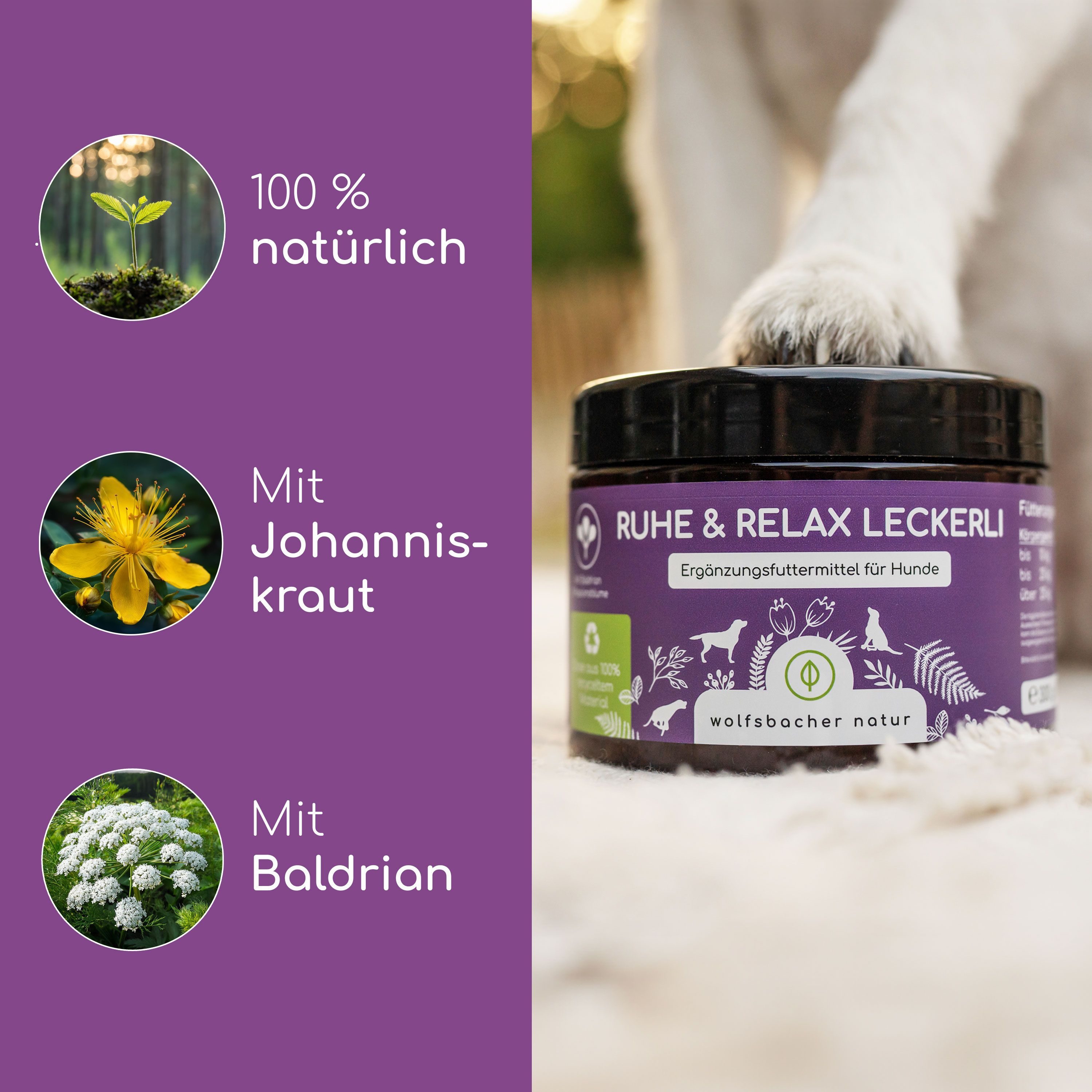 Dose mit Leckerlis, daneben Abbildungen von Johanniskraut und Baldrian. Aufschrift: Ruhe & Relax Leckerli. Marke: Wolfsbacher Natur.
