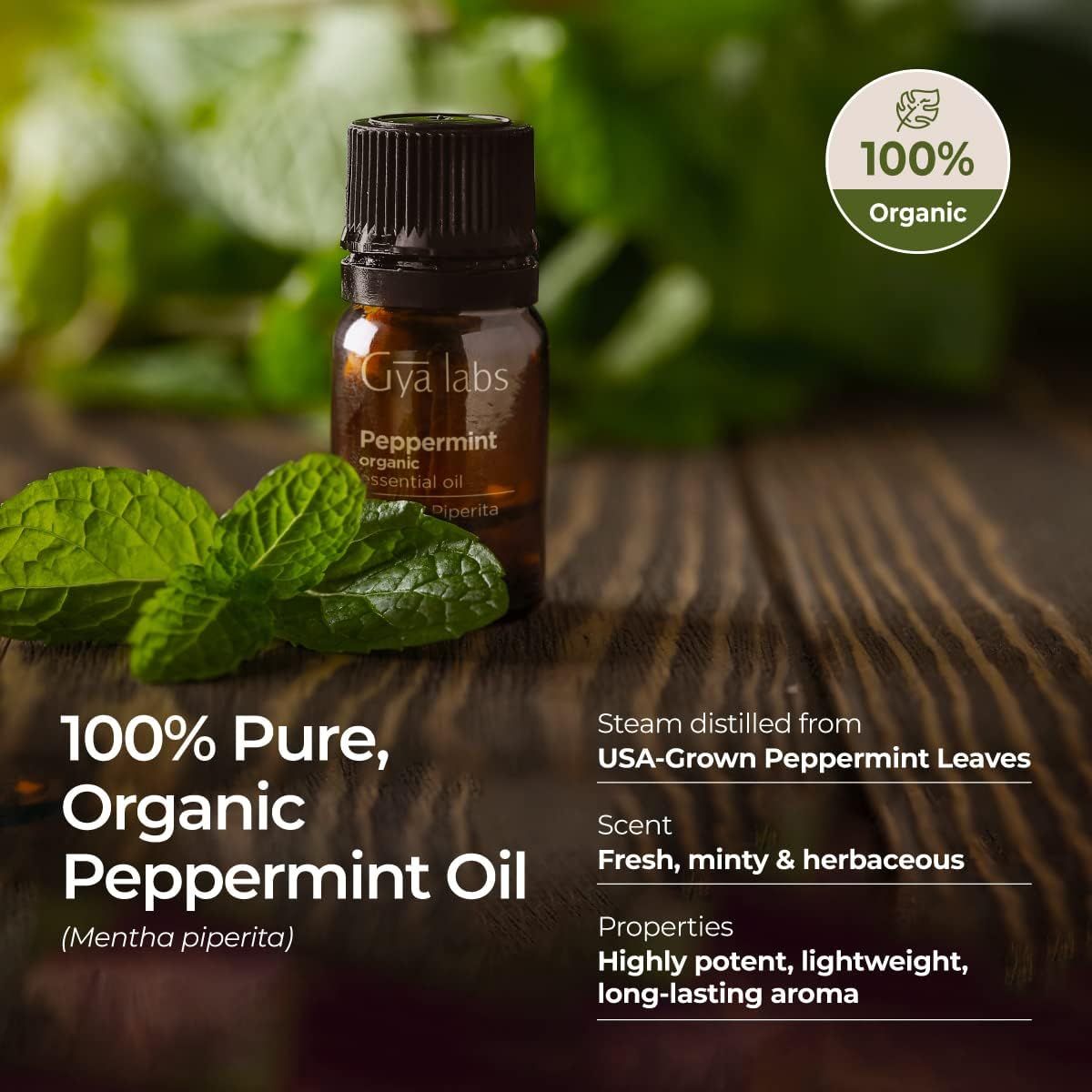 Gya Labs Reines Bio-Pfefferminzöl