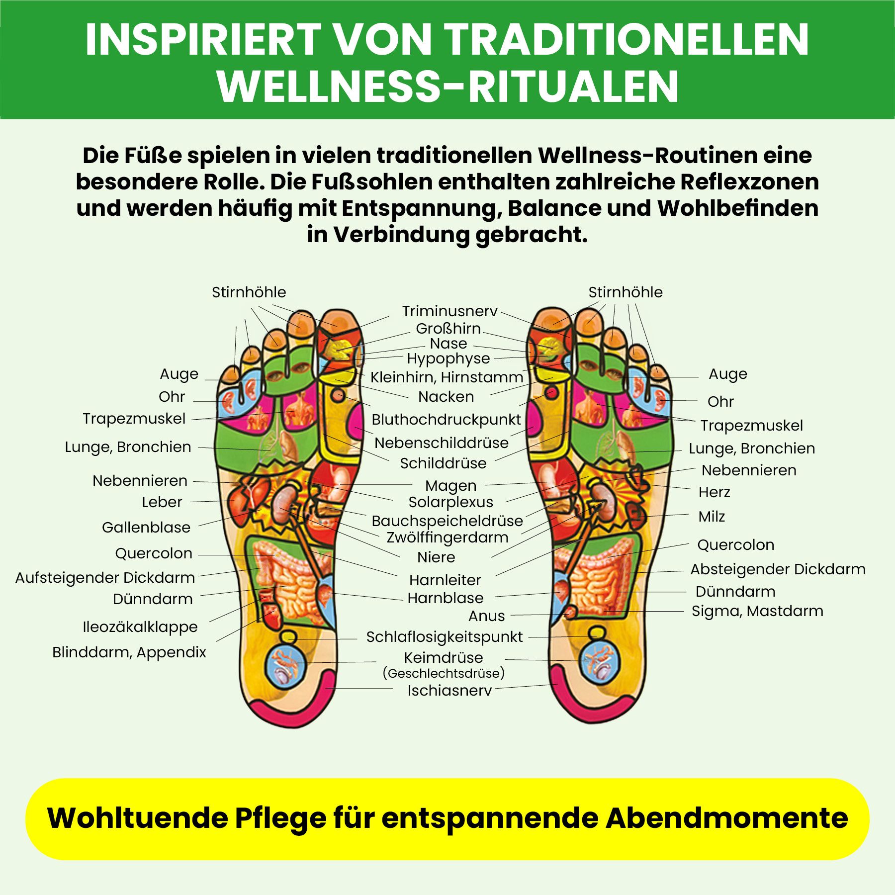 Fußreflexzonenkarte mit Beschriftungen für Organe und Körperteile.