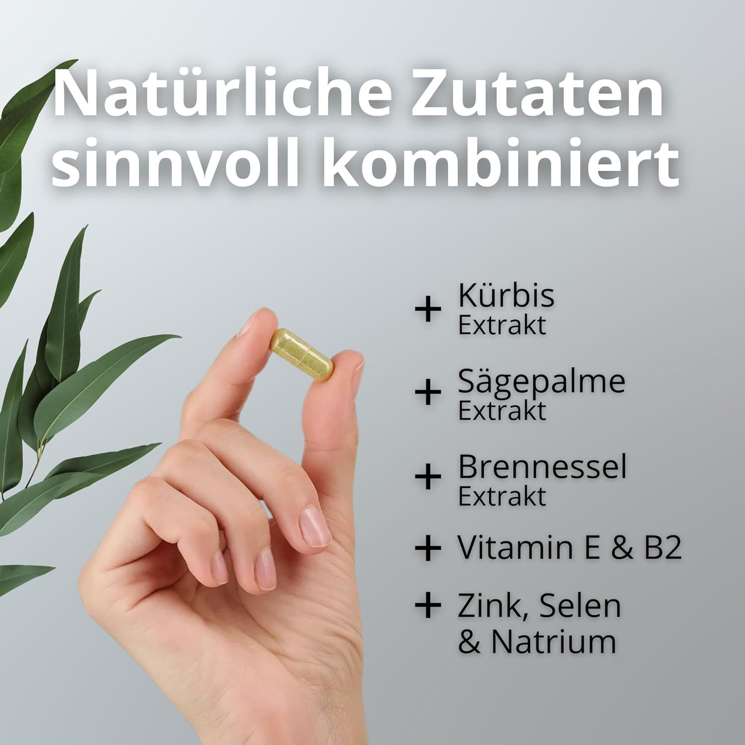 Hand hält gelbe Kapsel. Text: Natürliche Zutaten sinnvoll kombiniert. Inhaltsstoffe: Kürbis, Sägepalme, Brennessel, Vitamin E & B2, Zink, Selen & Natrium.