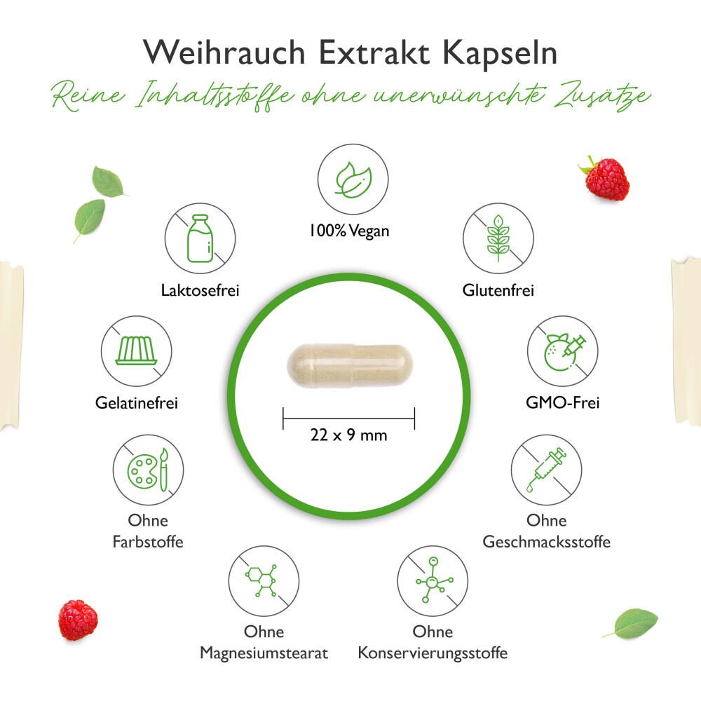 vit4ever Weihrauch Extrakt 1000