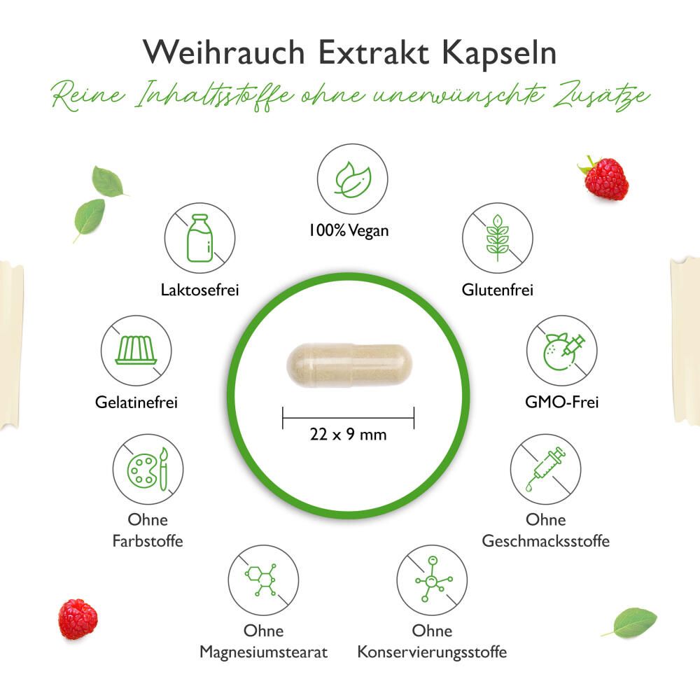 vit4ever Weihrauch Extrakt 1000 180 St Kapseln