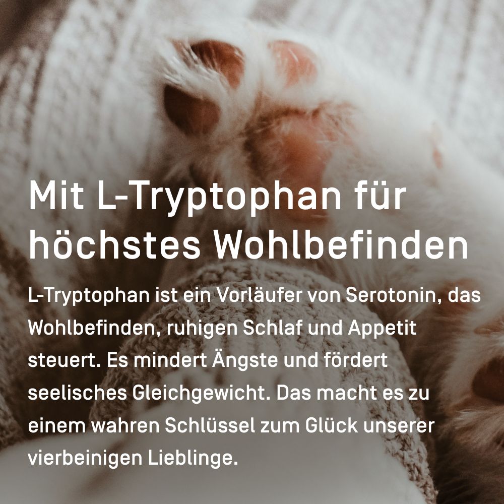 RELAX-Tropfen für Hunde & Katzen zur Beruhigung bei Stress