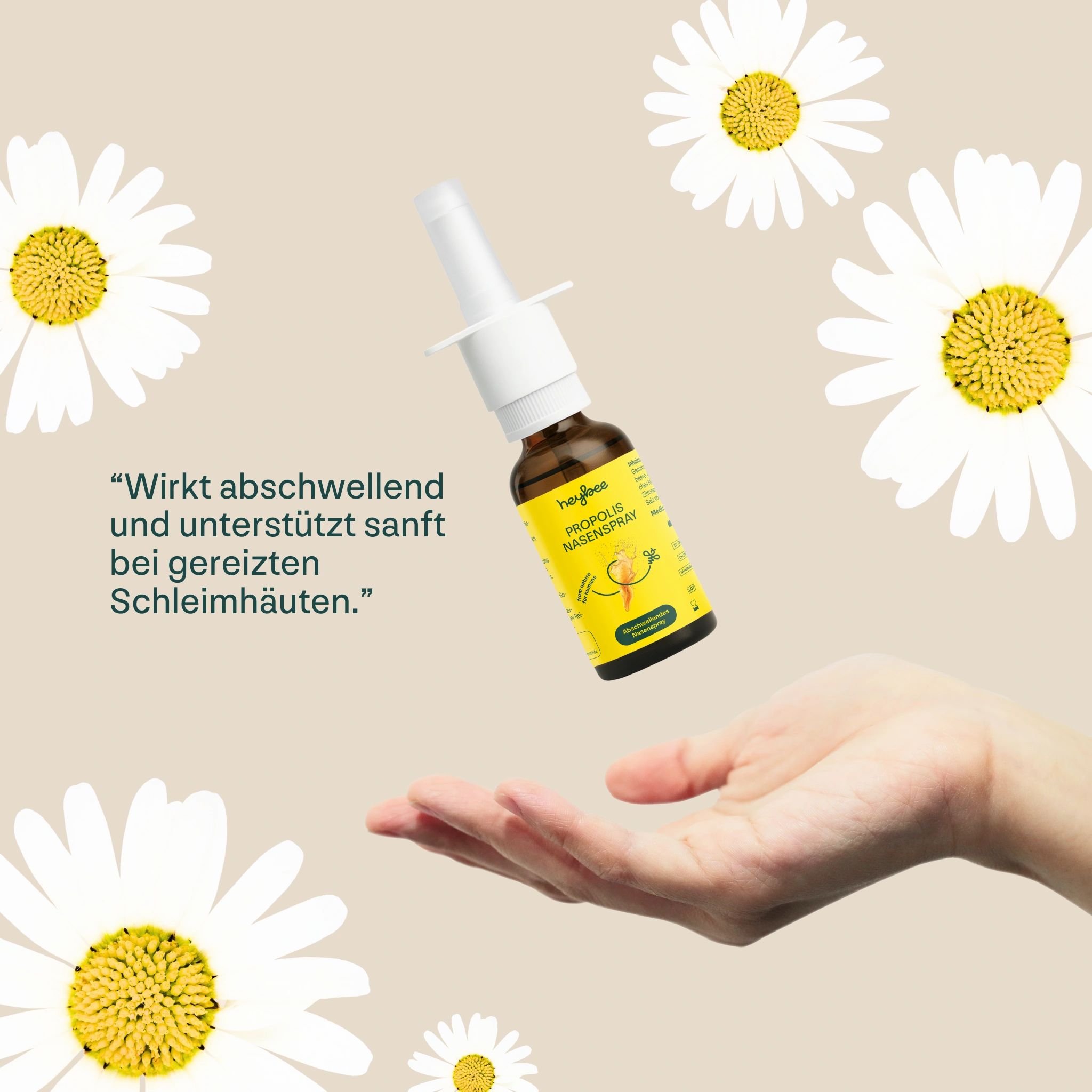 Nasenspray in der Hand, umgeben von Gänseblümchen. Text: Wirkt abschwellend und unterstützt sanft bei gereizten Schleimhäuten.