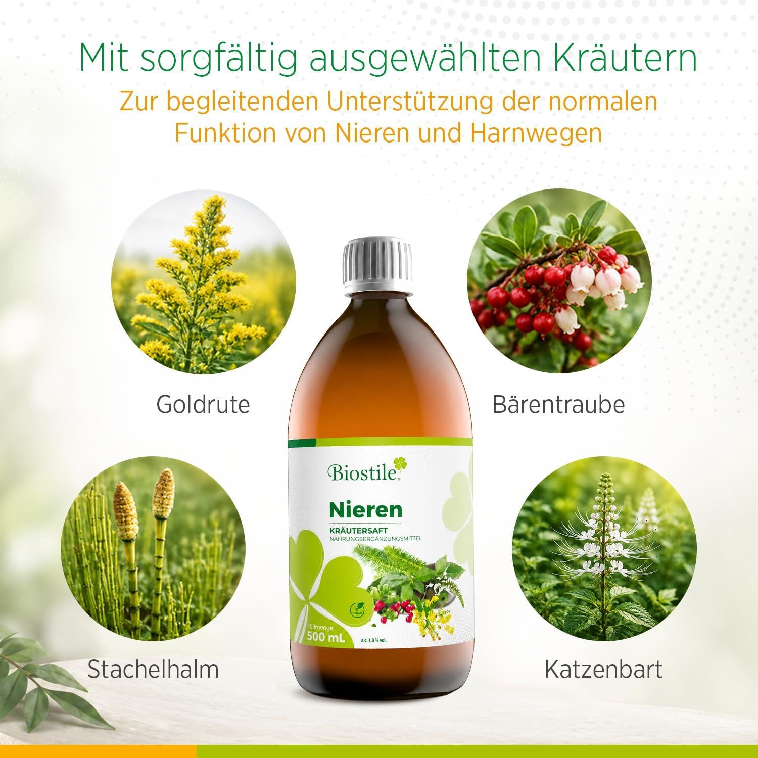 Biostile Niere Sirup – Kräutergetränk für Niere & Blase mit Goldrute