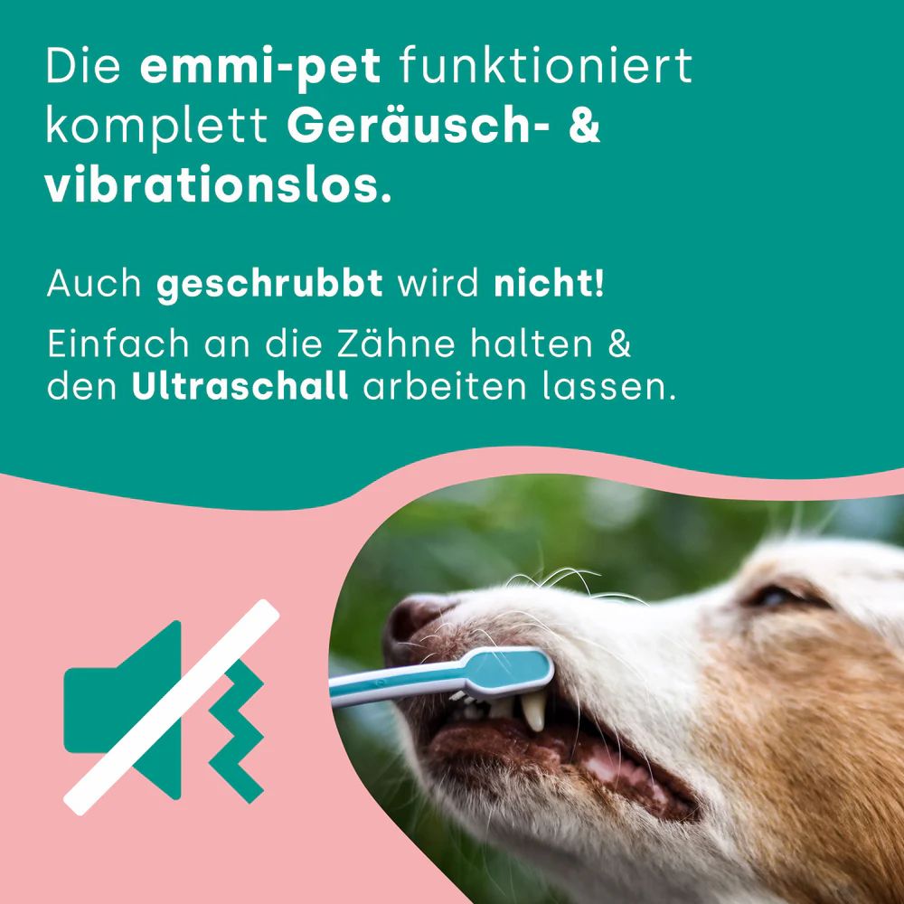 Hund mit Zahnbürste im Maul. Text: emmi-pet arbeitet geräusch- & vibrationslos. Auch geschrubbt wird nicht!