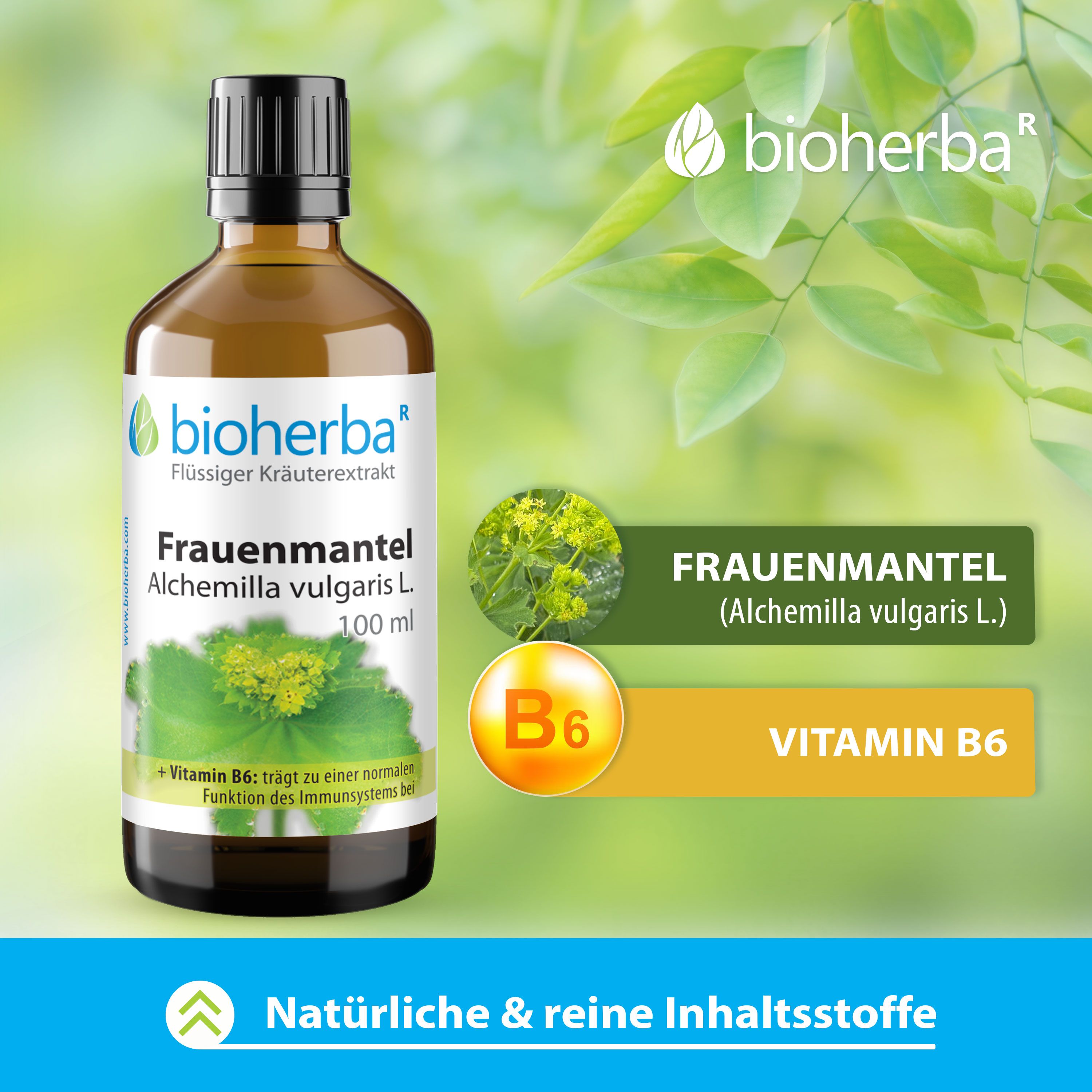 Bioherba Frauenmantel  Alchemilla vulgaris L. Tropfen Tinktur