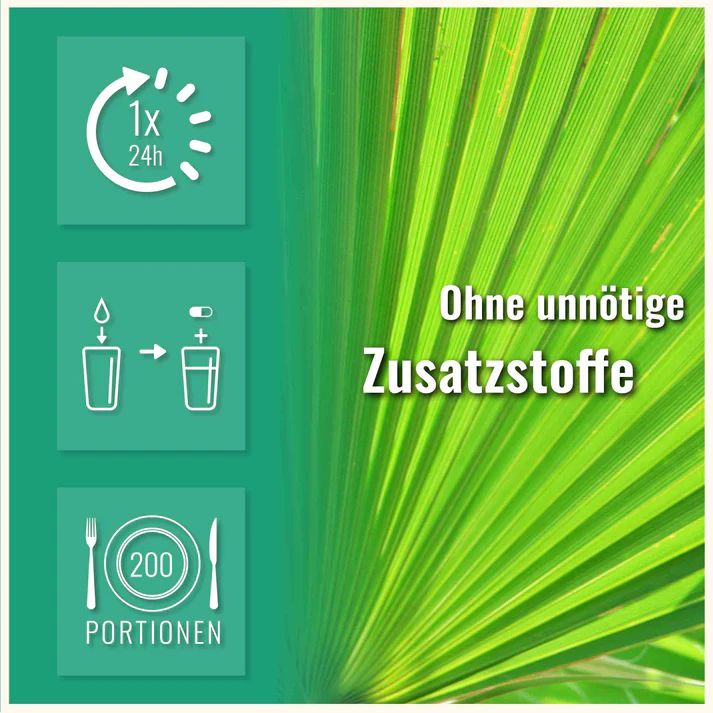 Sports & Health Saw Palmetto Sägepalme Kapseln