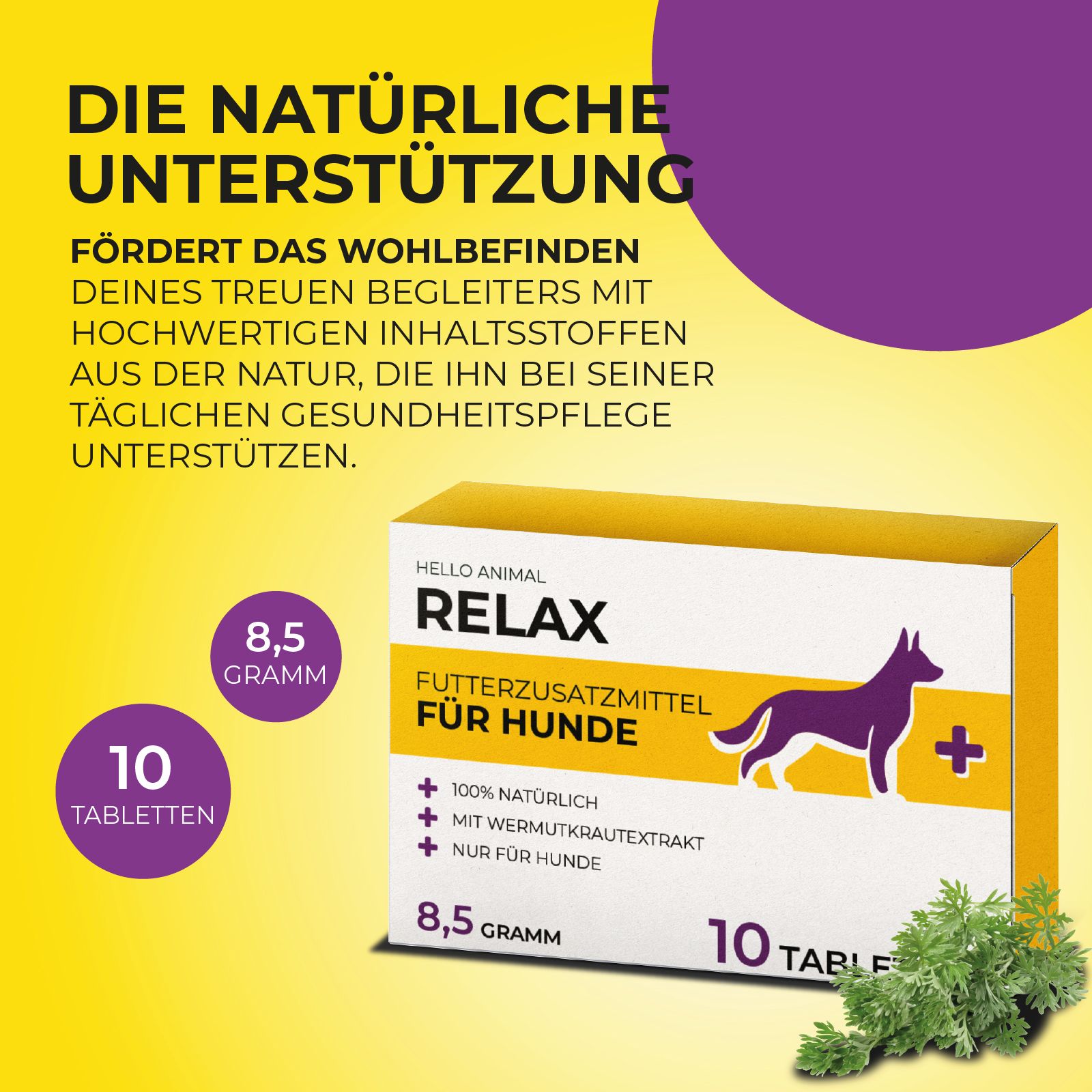 Gelbe Werbetafel mit "Hello Animal Relax" und 10 Tabletten. Text: Futterzusatzmittel für Hunde. Abbildung von Kräutern.