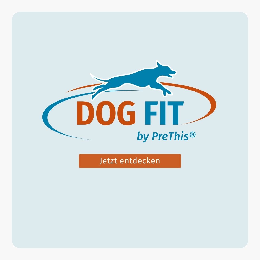 DOG FIT by PreThis® CARE senior » Ergänzung für ältere Hunde  (small)