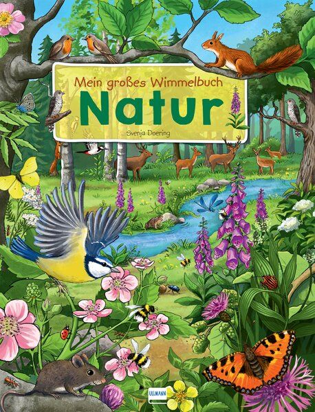Buchcover: „Mein großes Wimmelbuch Natur“. Titel in Grün, Illustrationen von Tieren und Pflanzen. Verlag Ullmann.
