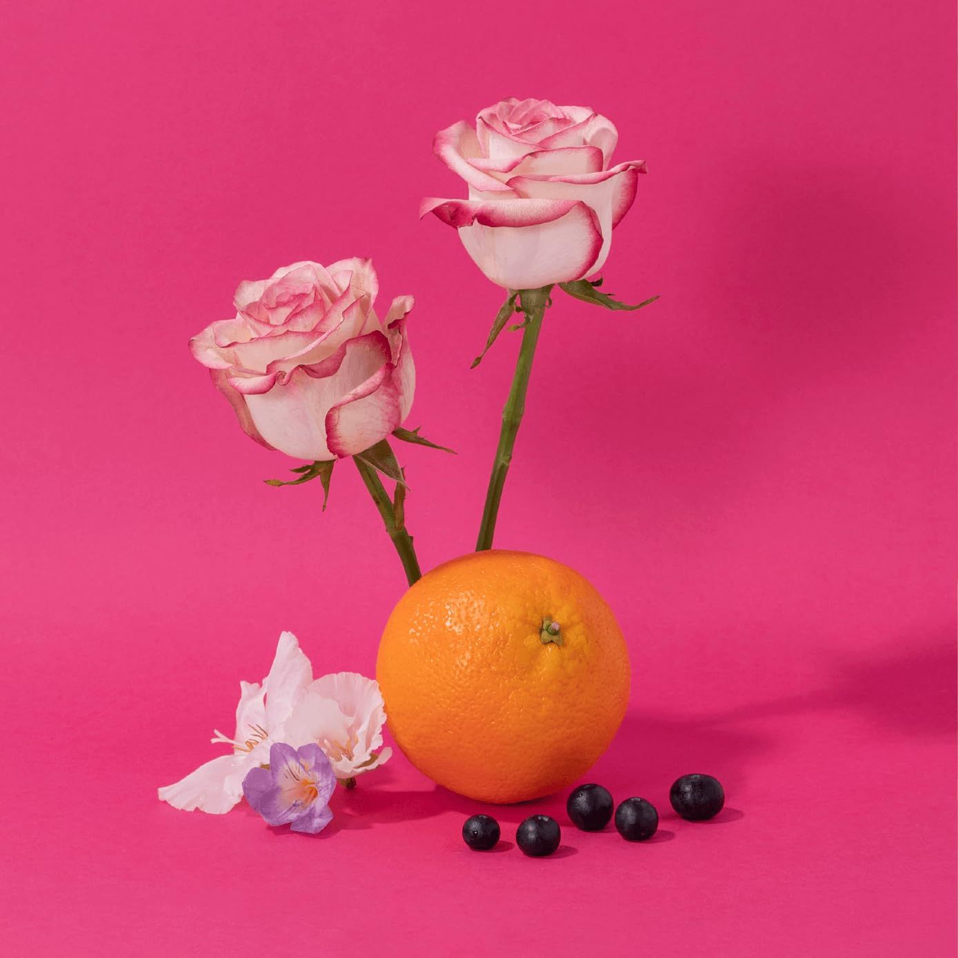 Zwei Rosen mit rosa Blütenblättern, eine Orange, eine Freesie und Blaubeeren auf pinkfarbenem Hintergrund.