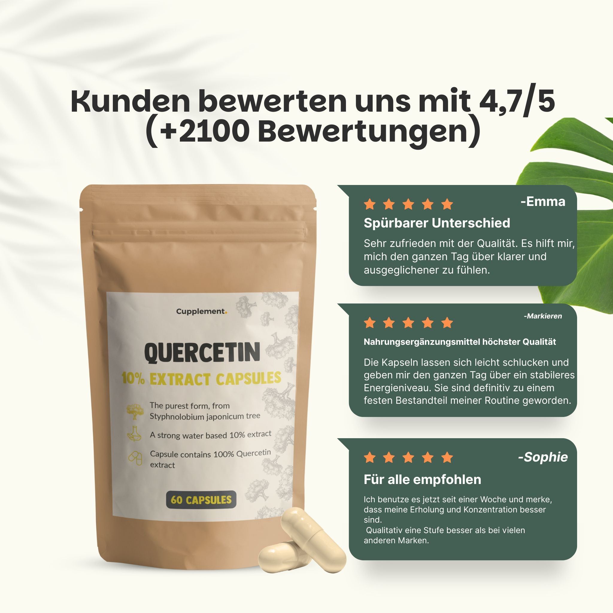 Beutel mit Quercetin-Kapseln. Text: Quercetin 10% Extract Capsules, 60 capsules. Zwei Kapseln daneben.