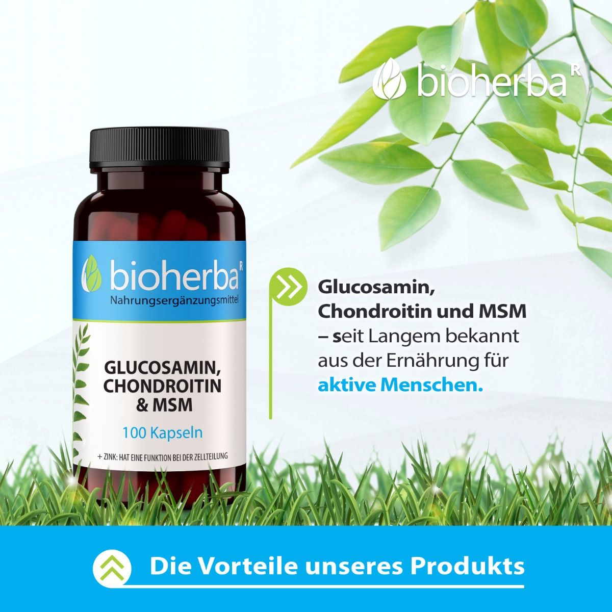Braune Flasche Bioherba Glucosamin, Chondroitin & MSM Kapseln mit schwarzem Deckel. Aufschrift: 100 Kapseln. Hintergrund: Gras und Blätter.