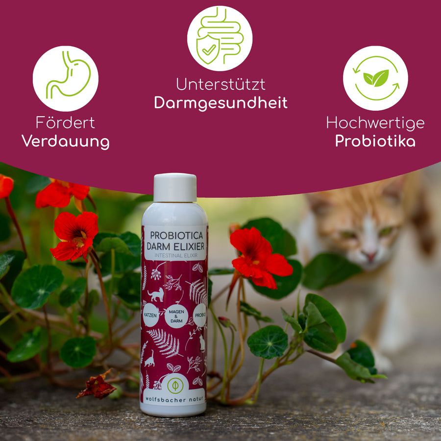 Wolfsbacher Probiotika Elixier für Katzen 150 ml Mixtur