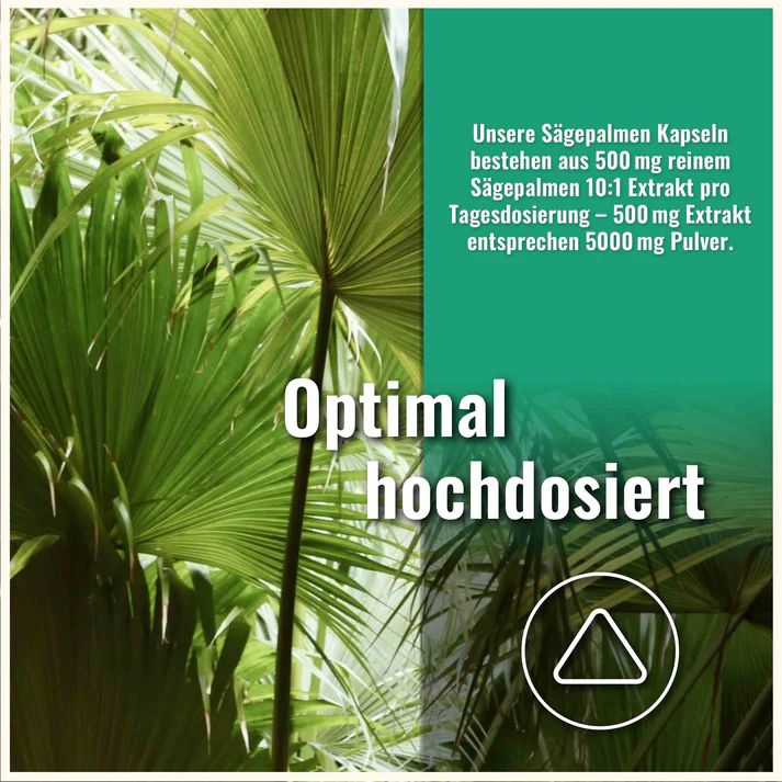 Sports & Health Saw Palmetto Sägepalme Kapseln