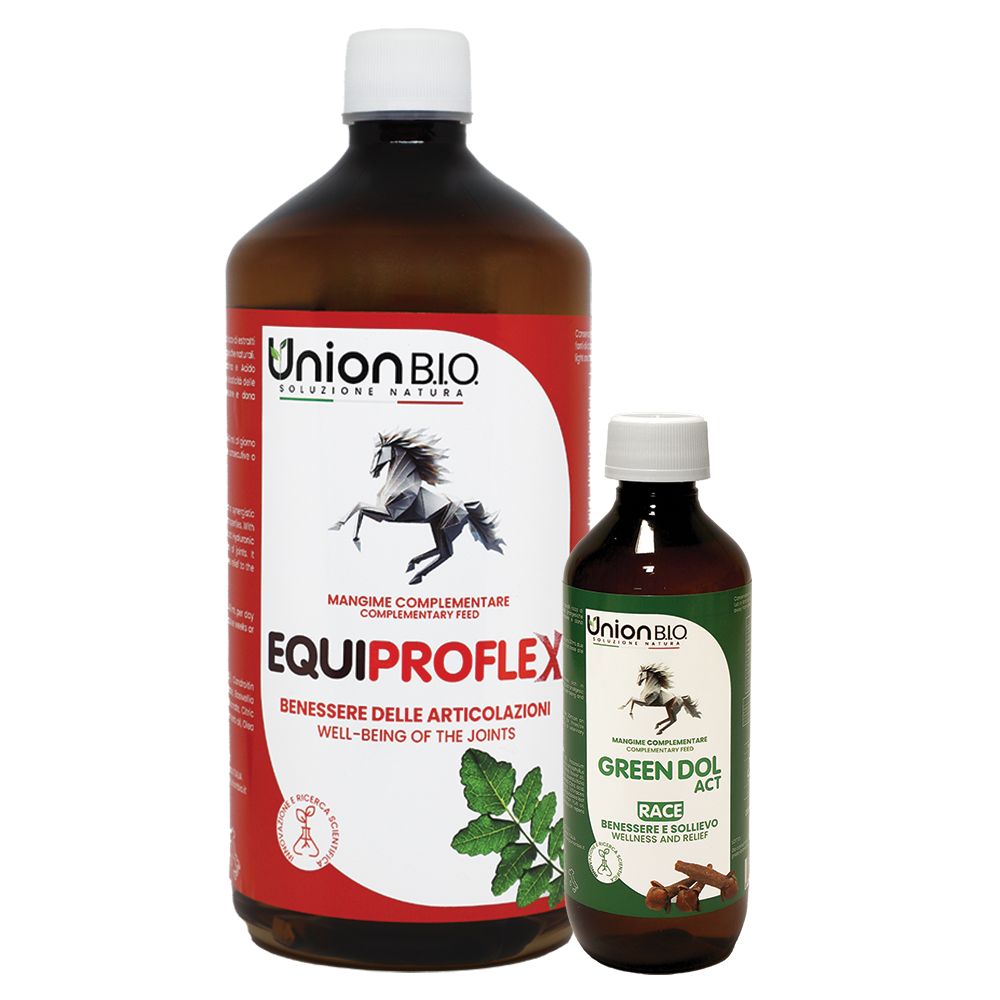 Union B.i.o. Kit Gelenke 1,2 l Kombipackung