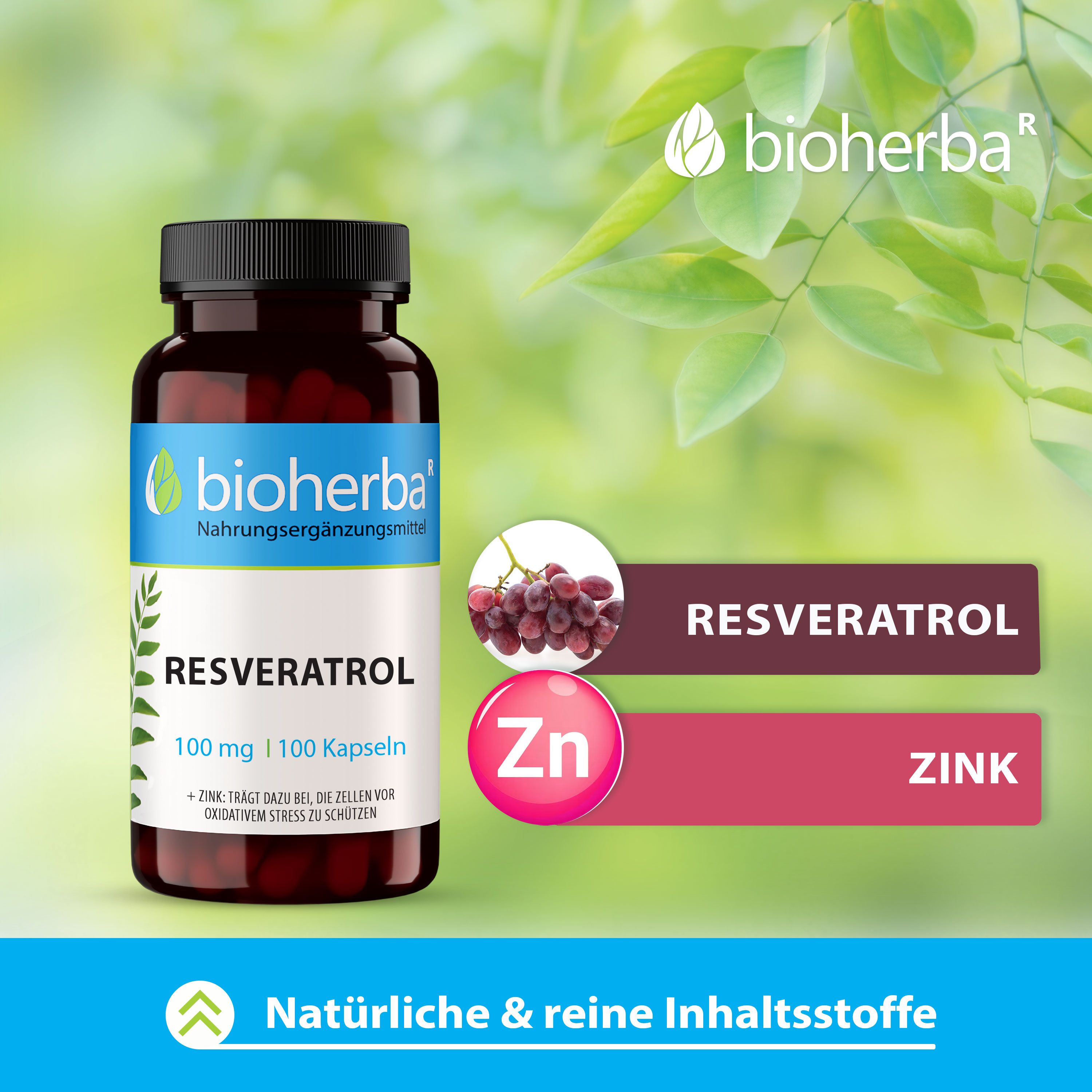 Bioherba Resveratrol Kapseln