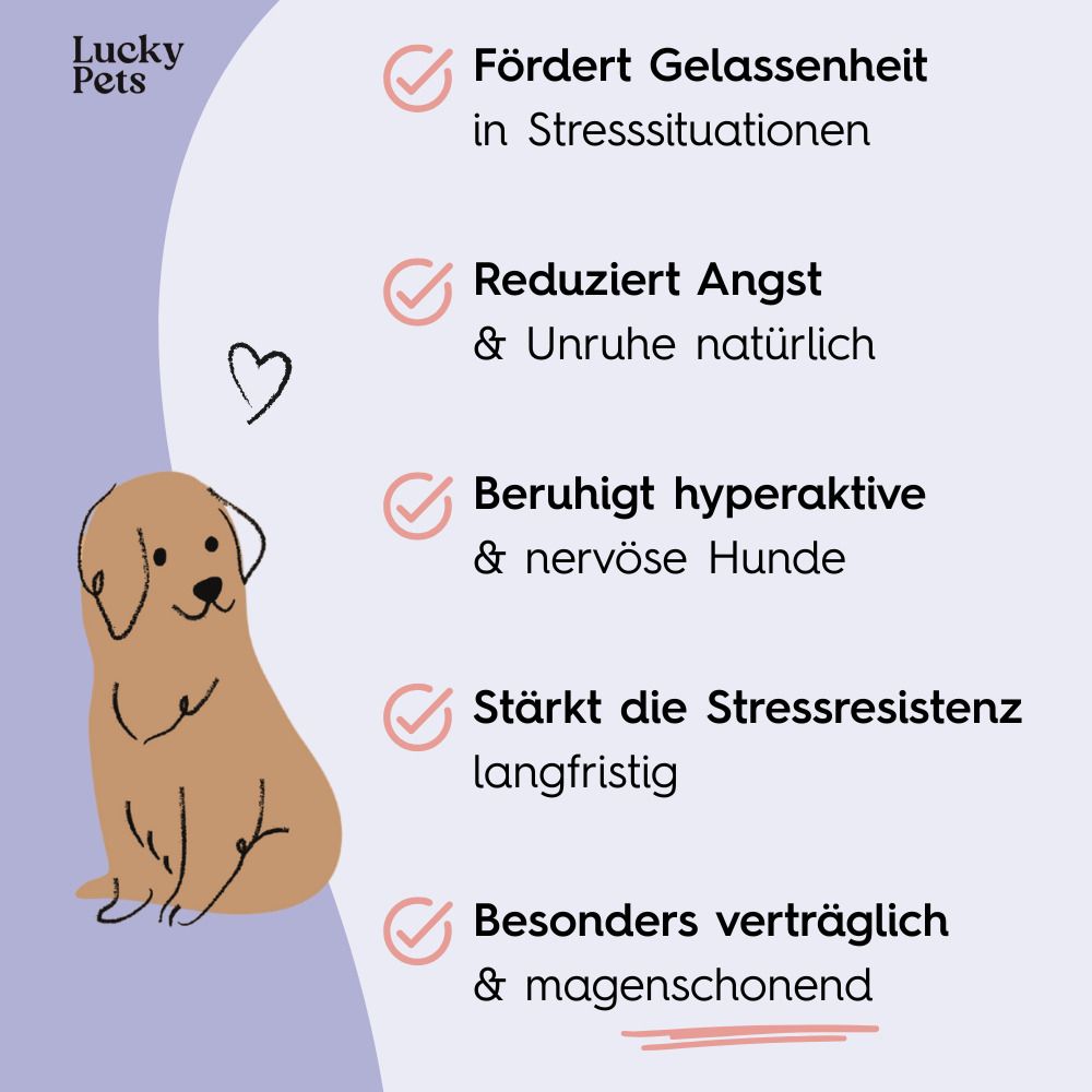 Illustration eines Hundes mit Text. Fördert Gelassenheit, reduziert Angst, beruhigt hyperaktive Hunde, stärkt Stressresistenz.