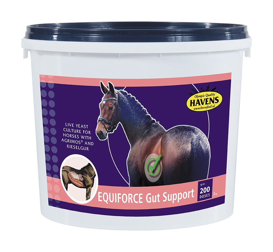 Havens EquiForce Gut Support 1 kg
