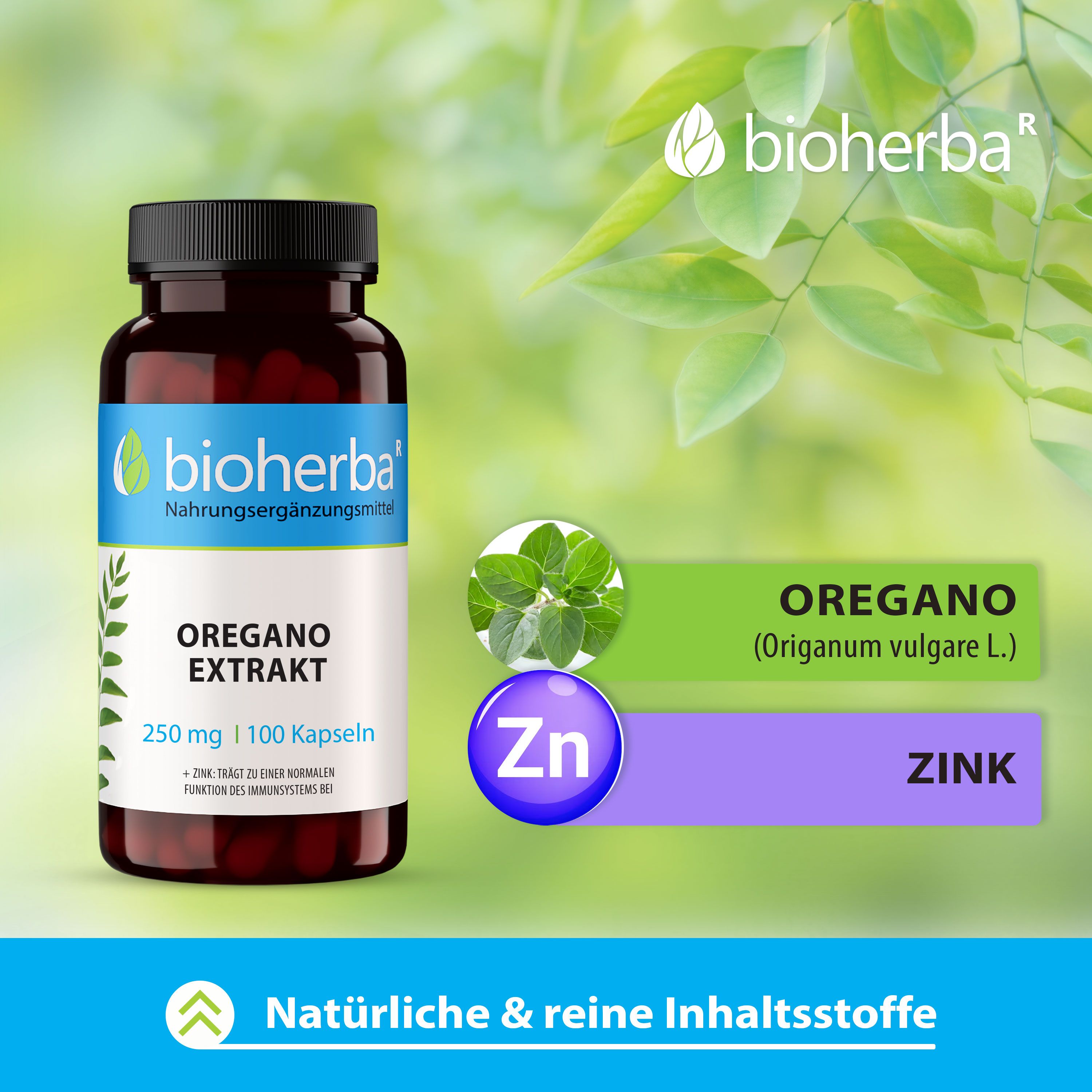 Bioherba Oregano Extrakt Kapseln