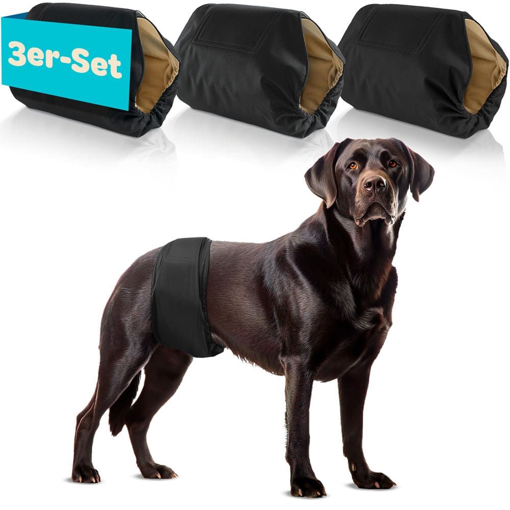 Drei schwarze Hundewindeln. Ein Hund trägt eine Windel. Text: 3er-Set.