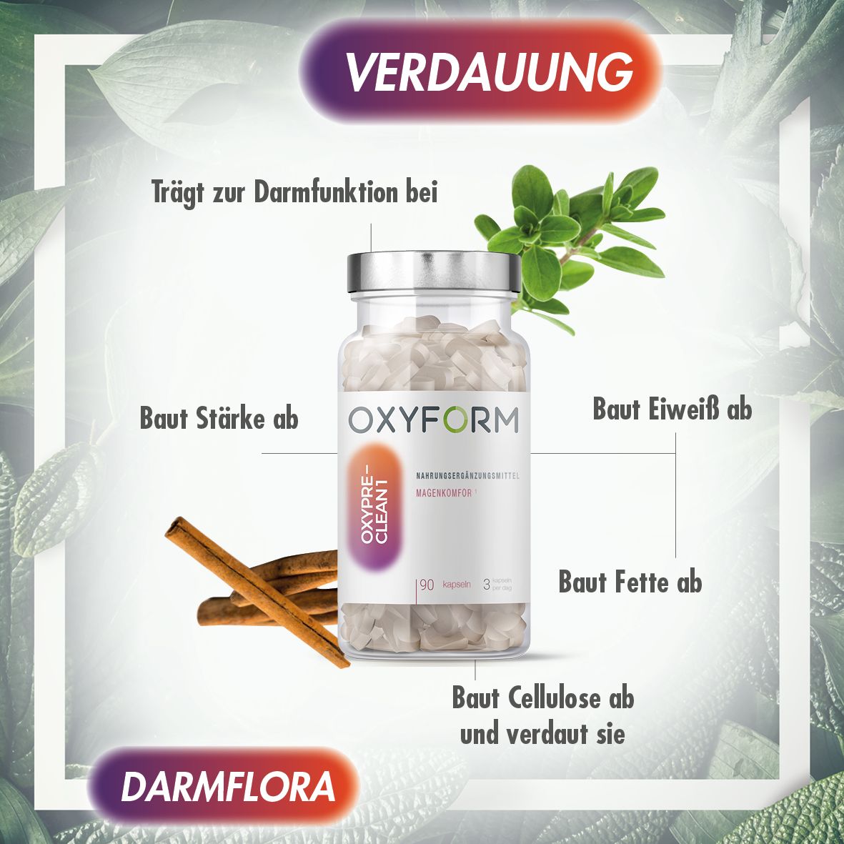 Oxyform Oxypreclean Ceylon-Zimt Tabletten