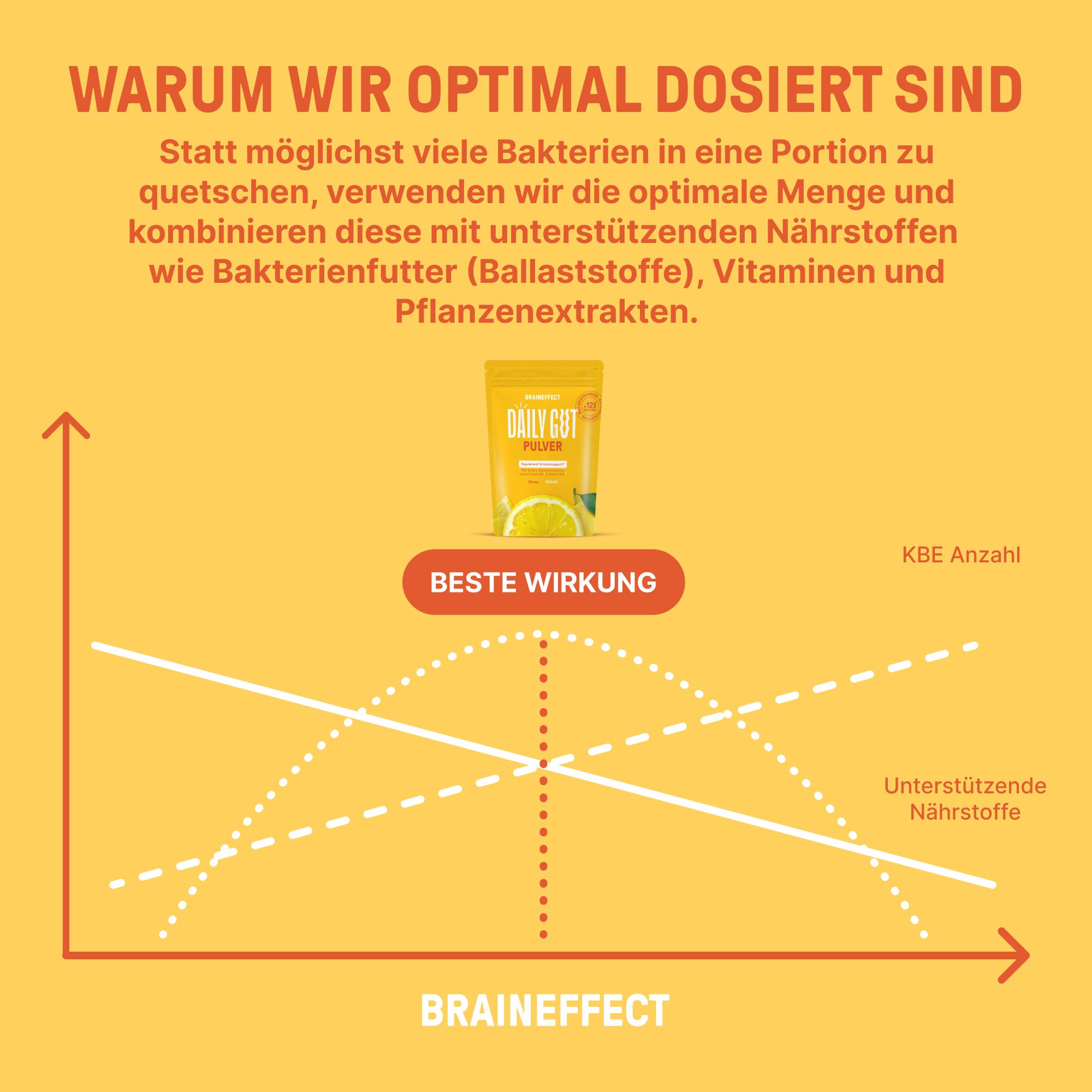Diagramm mit Kurven. Beschriftung: KBE Anzahl, unterstützende Nährstoffe, beste Wirkung. Produktverpackung im Hintergrund.