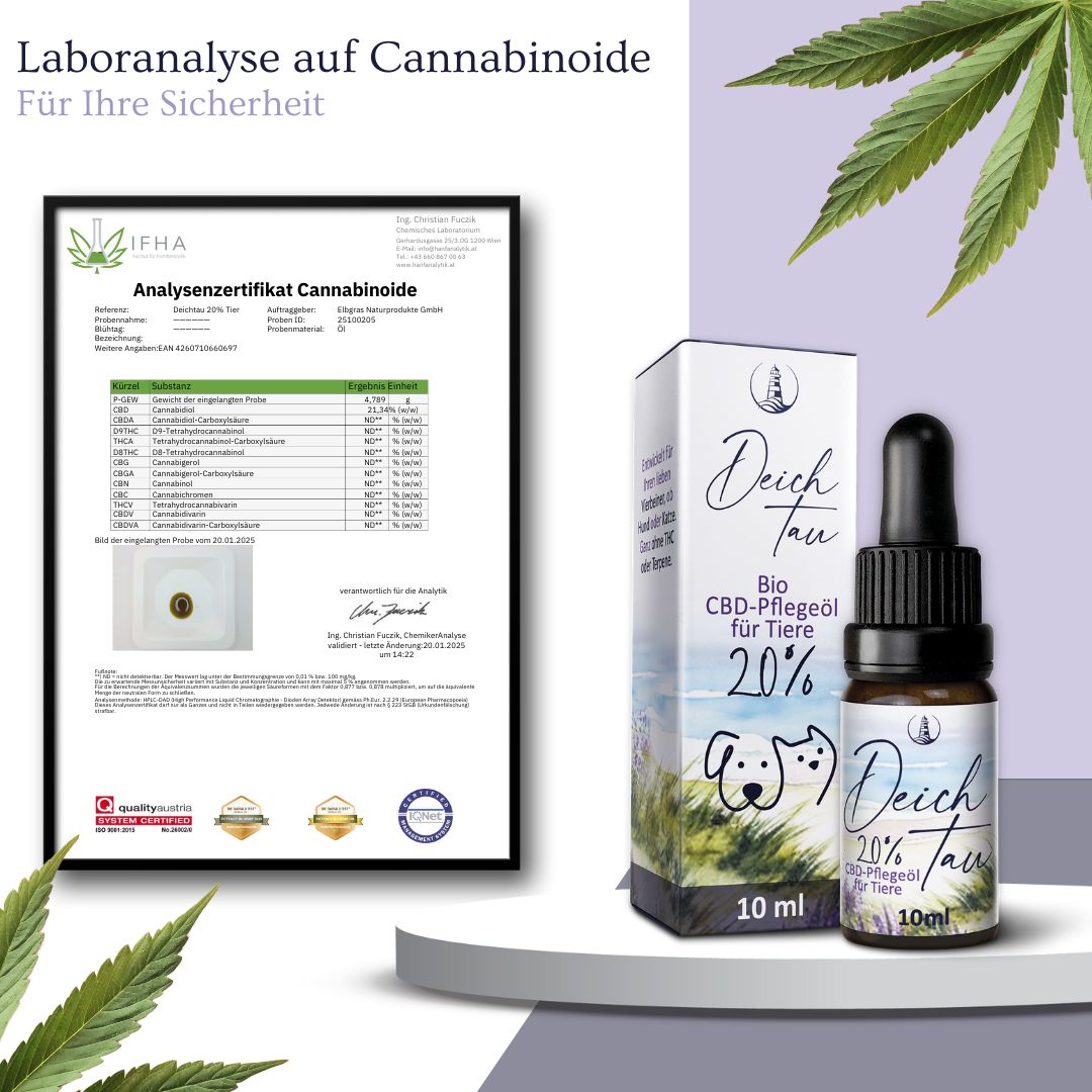 Deichtau Bio CBD Öl 20% für Hund & Katze - CBD-Hanföl-Tropfen – Echtes Cannabisöl - Deutsche Marke