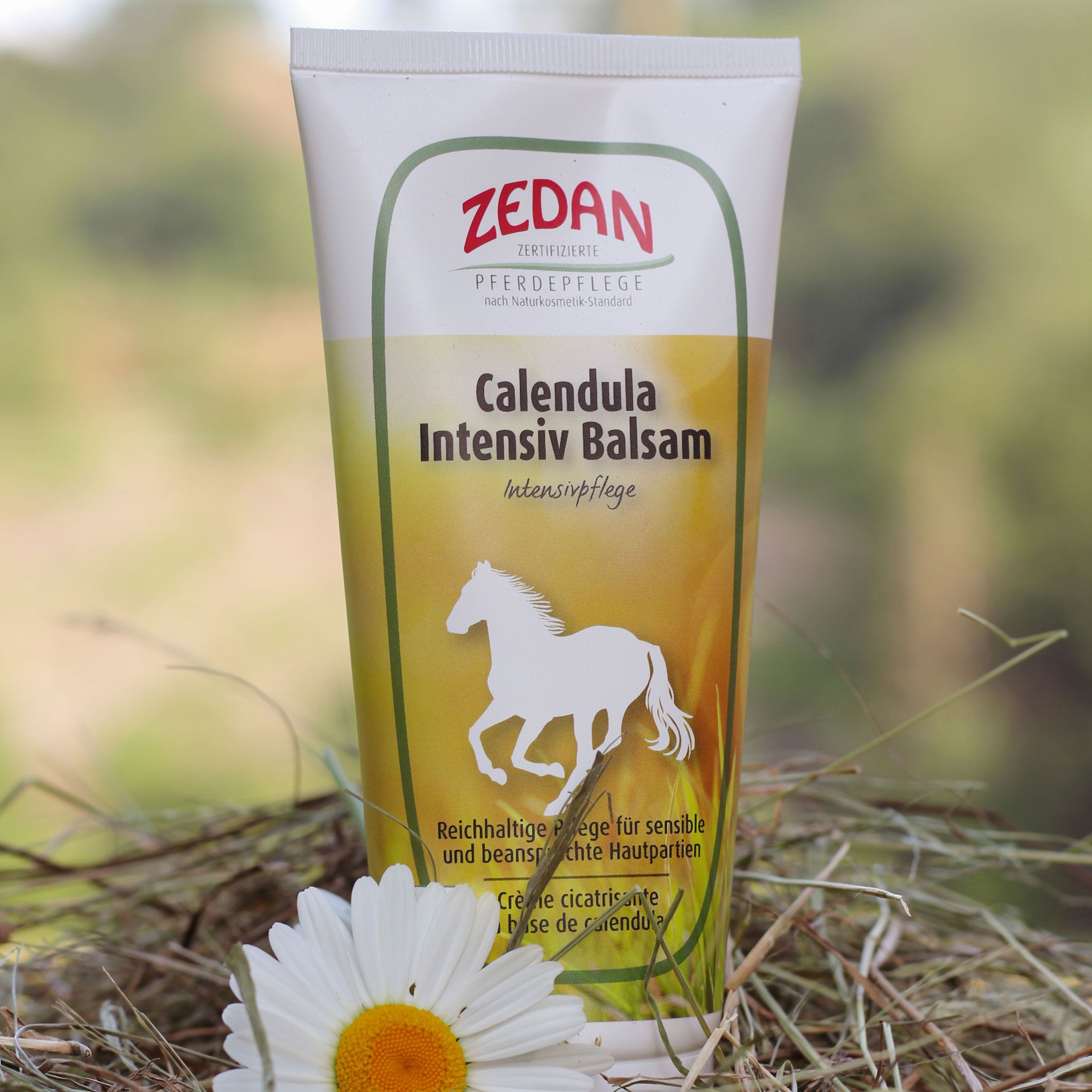 Tube Zedan Calendula Intensiv Balsam mit einem Pferd-Symbol, umgeben von Naturmaterialien.