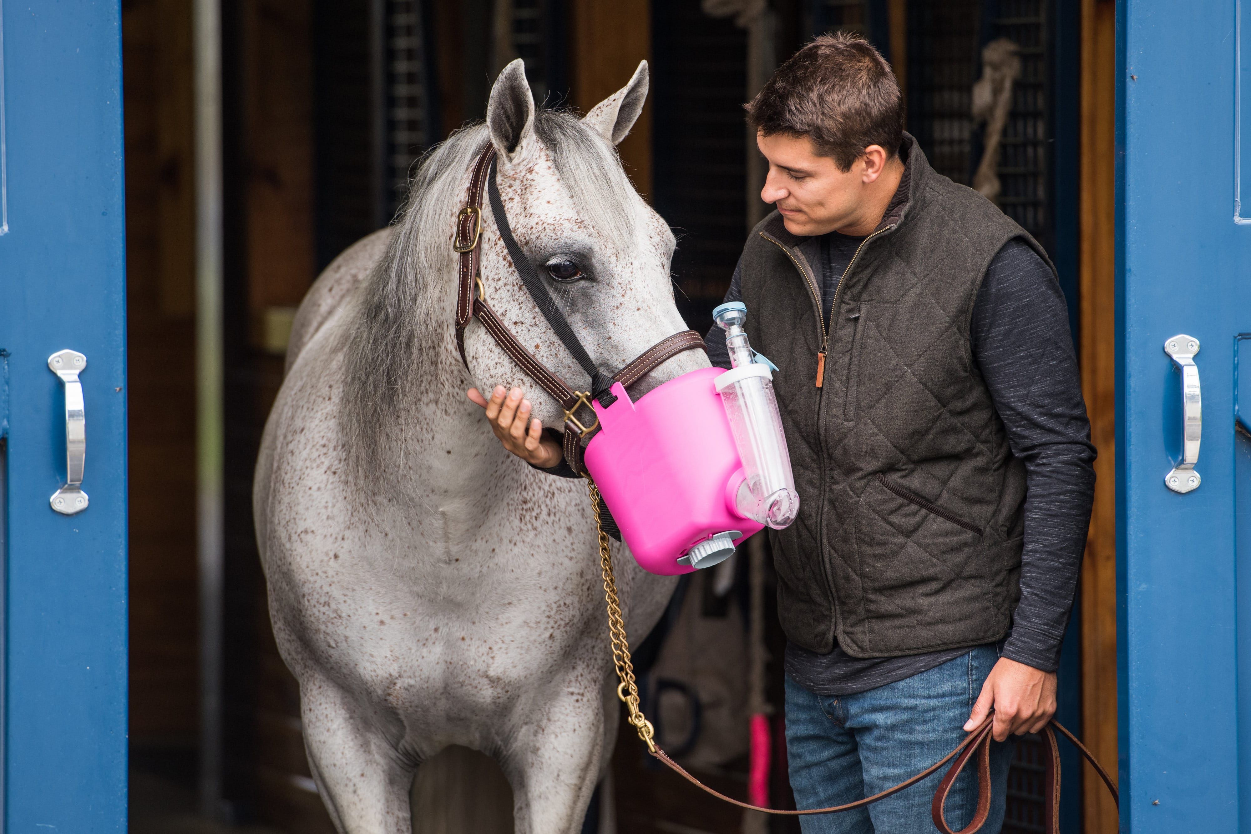 Ein Mann hält ein Pferd, das einen rosa Inhalator trägt. Der Inhalator ist am Kopf des Pferdes befestigt.