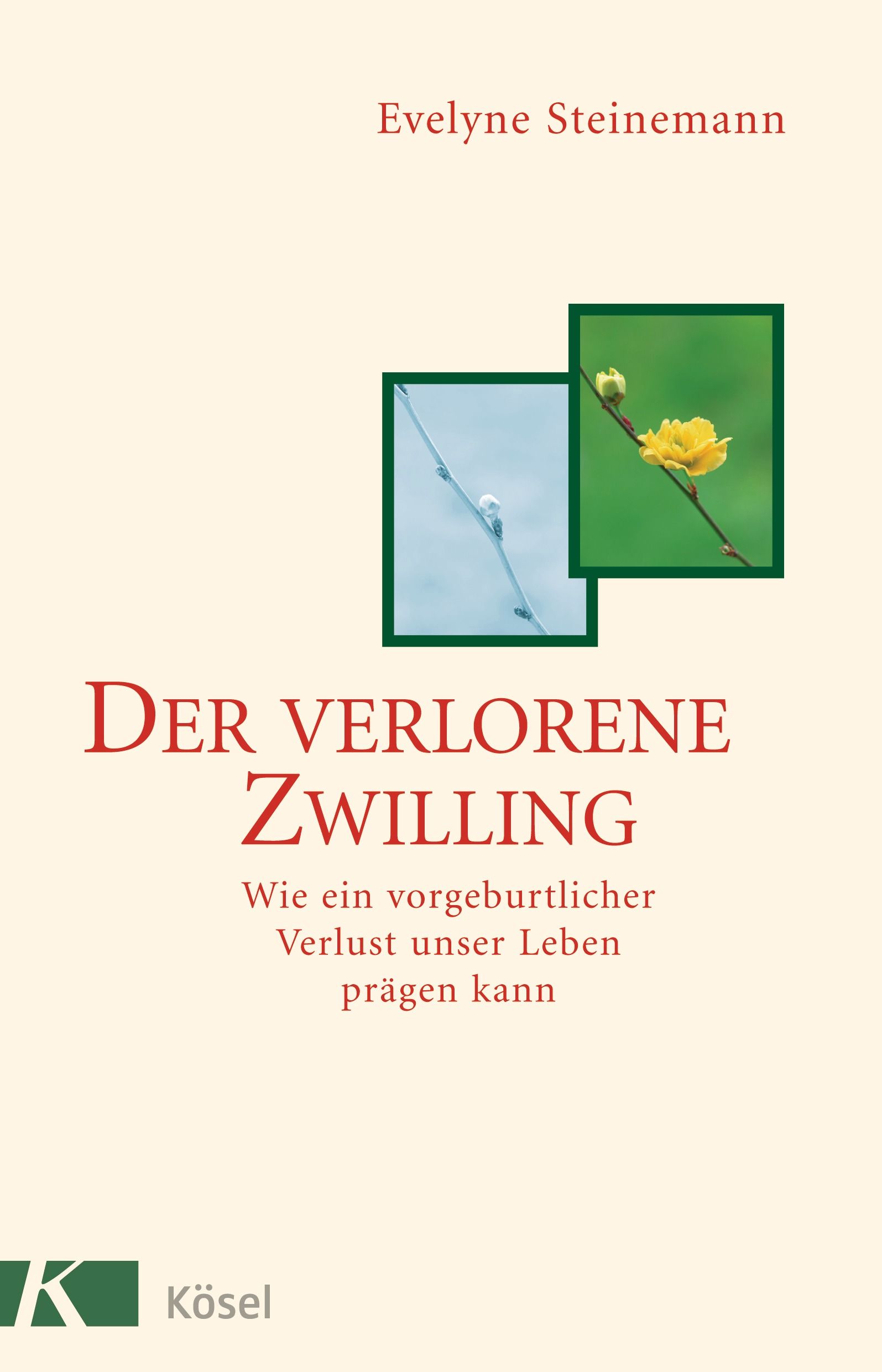 Buchcover mit Titel "Der verlorene Zwilling". Autorin: Evelyne Steinemann. Verlag: Kösel. Illustrationen: grüne Rahmen mit Blumen.