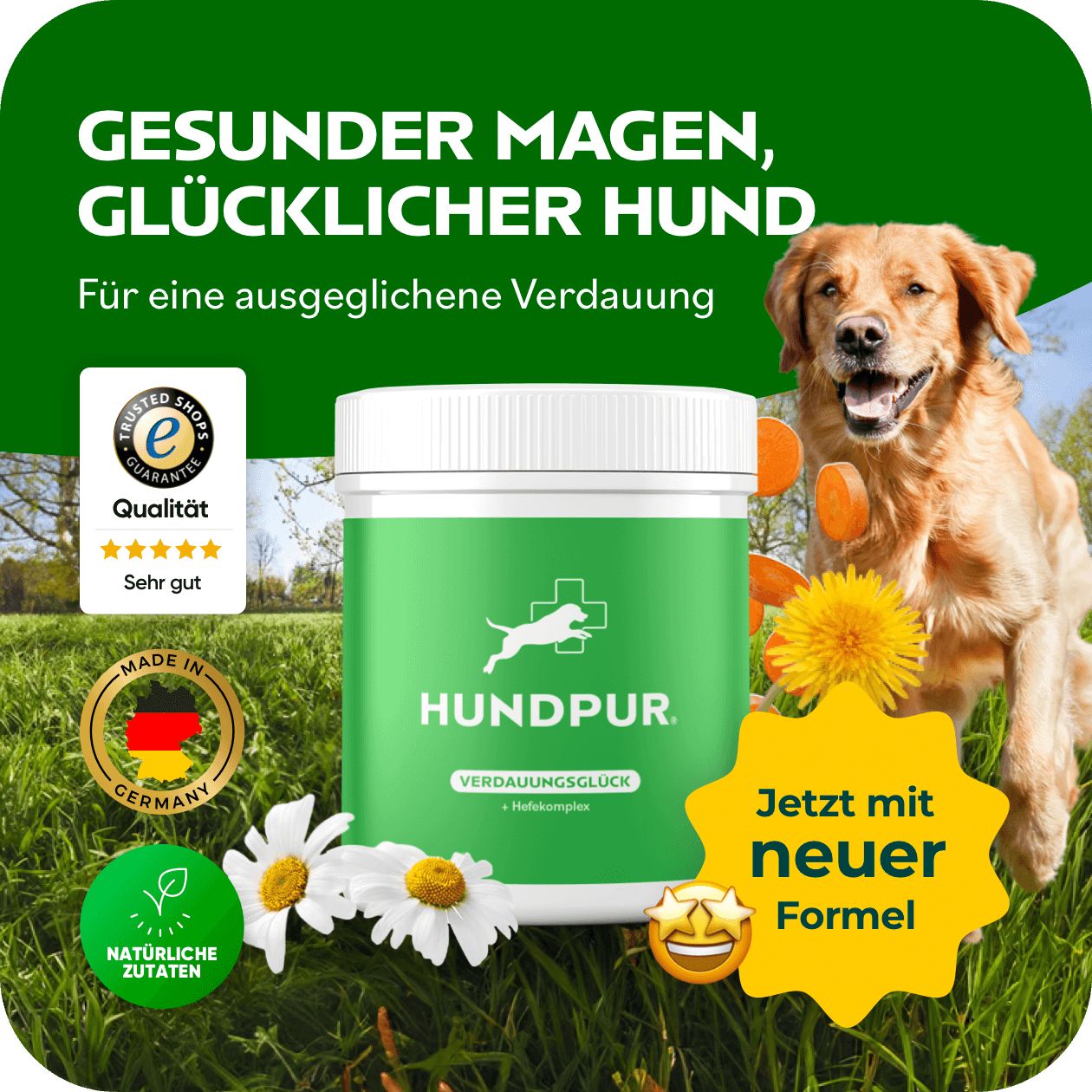 HUNDPUR® VERDAUUNGSGLÜCK MIT HEFEKOMPLEX