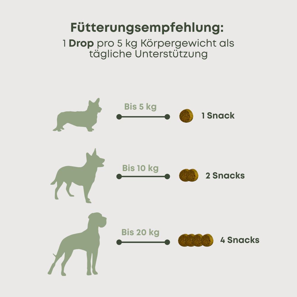 Grafik mit Fütterungsempfehlung. 1 Snack pro 5 kg Körpergewicht. Illustrationen von Hunden und Snack-Mengen.