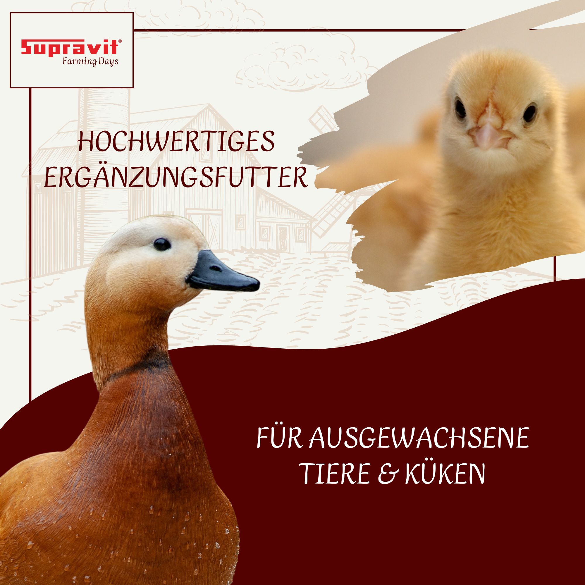Supravit Aufzucht- & Eifutter für Geflügel