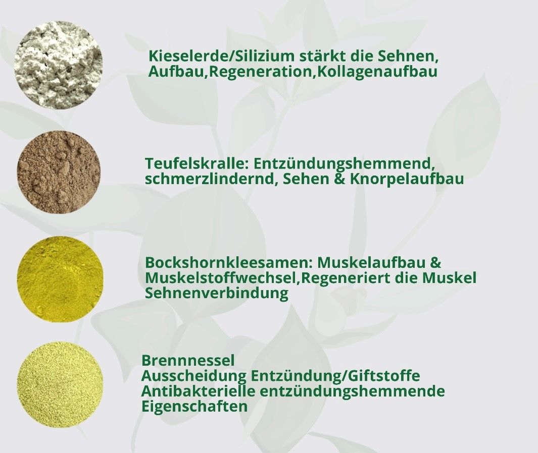 Hand aufs Pferd/Hund Sehnen Kräuter Gehfreude