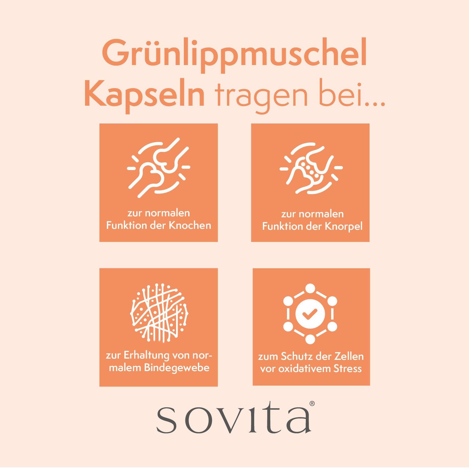 Vier orangefarbene Quadrate mit weißen Symbolen und Text. Text: zur normalen Funktion der Knochen, Knorpel, Bindegewebe, Zellschutz.