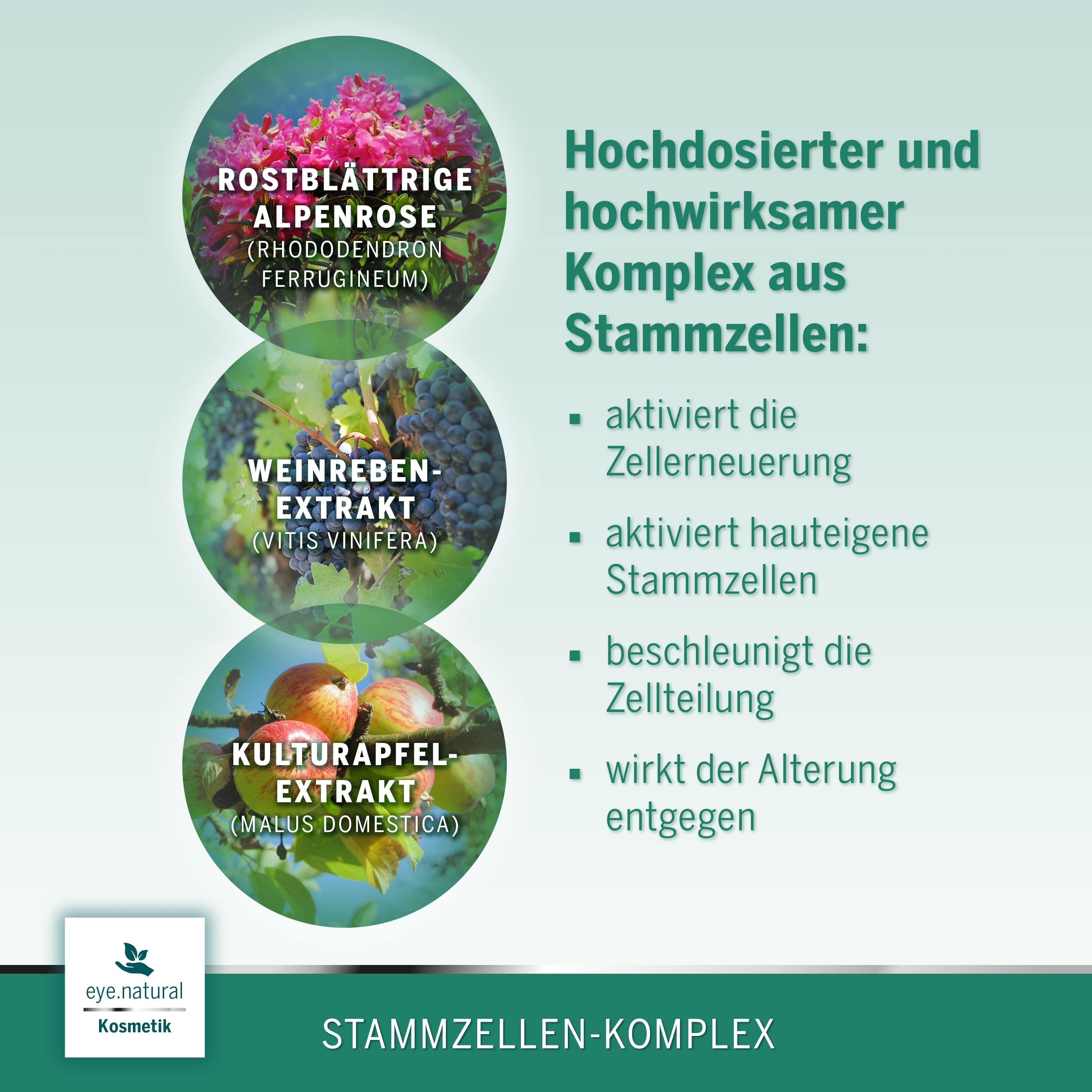 Kreisförmige Abbildungen von Pflanzen: Alpenrose, Weinreben, Kulturapfel. Text: Stammzellen-Komplex.