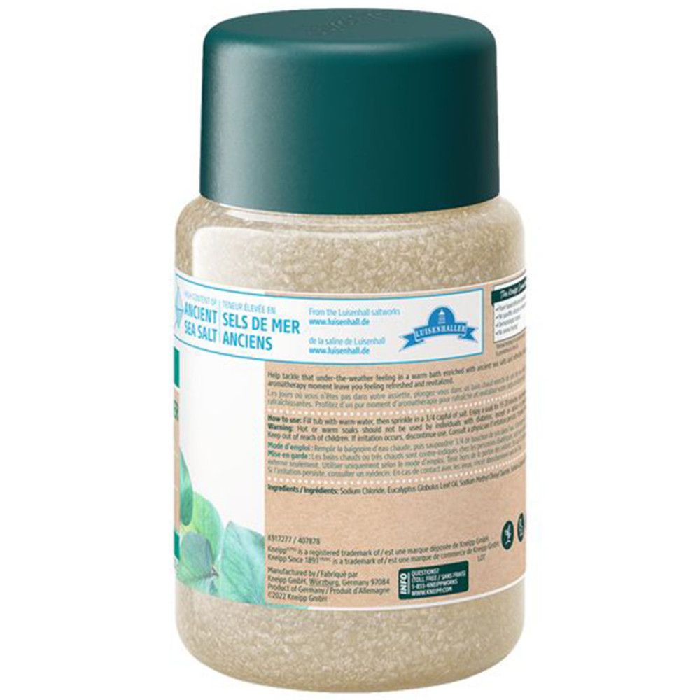 Rückseite der Badesalz-Verpackung. Etikett mit Produktinformationen, Inhaltsstoffen und Herstellerangaben. Grüner Deckel. Text in mehreren Sprachen.