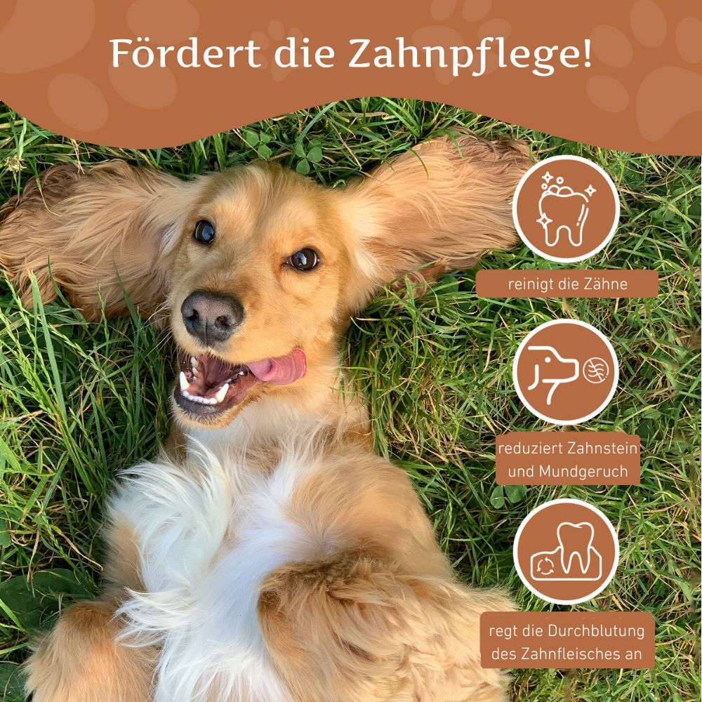 WILDFANG® Kaffeeholz-Kaustab Kauknochen Kauholz