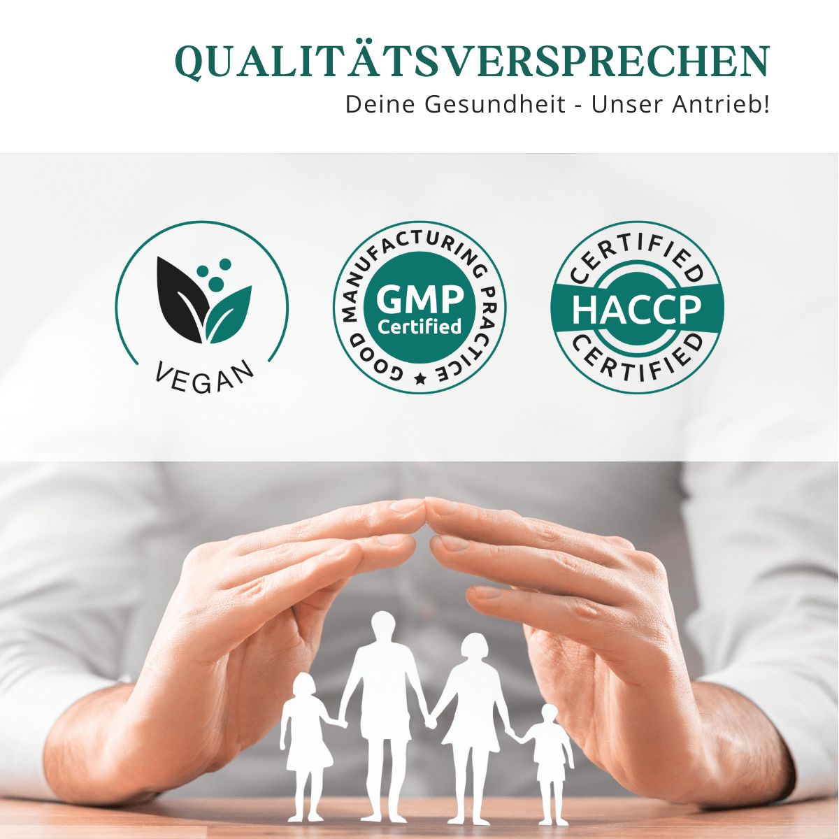 meinVitalium - Magnesium 4-fach Komplex + B6 Kapseln (ohne Oxid)