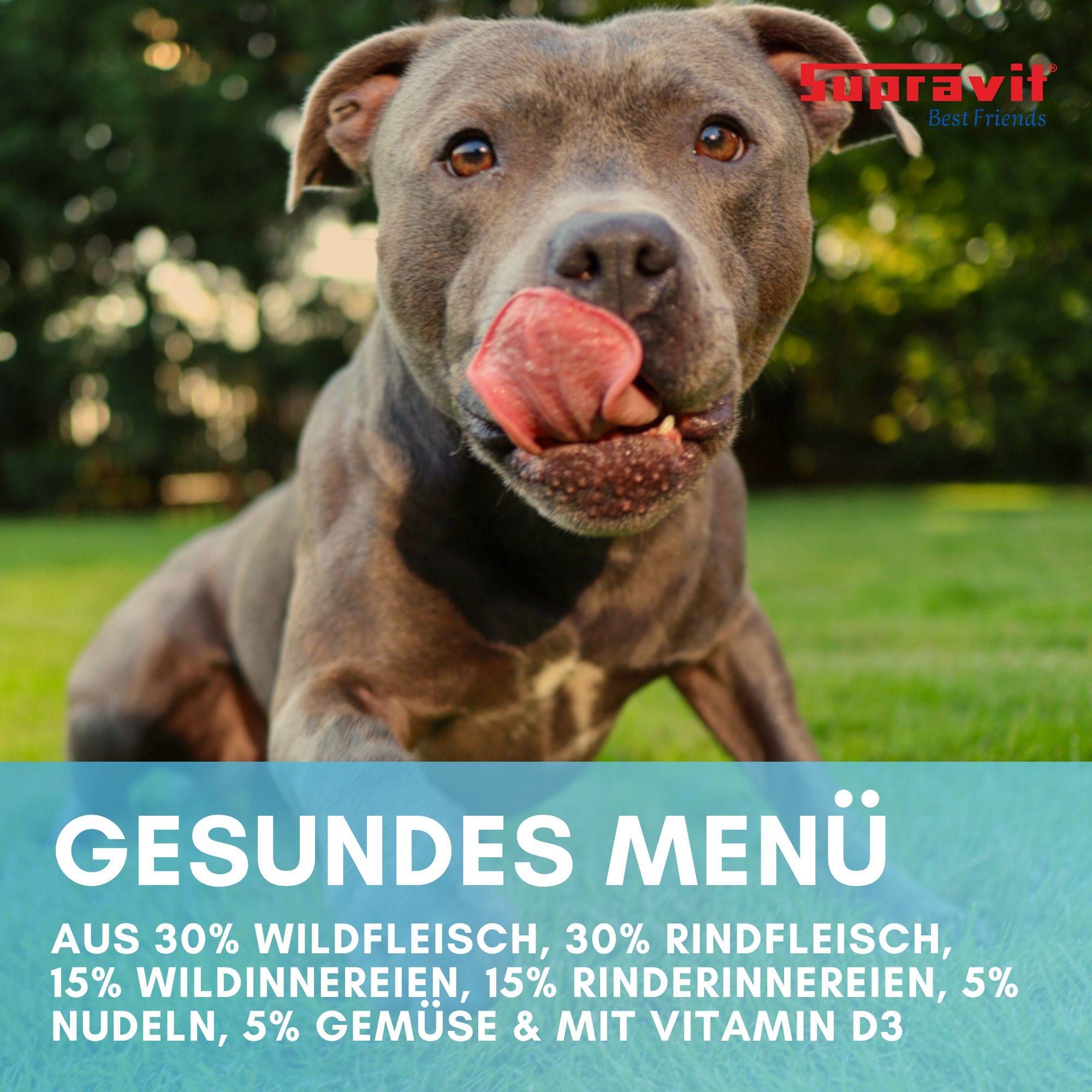 Hund mit Zunge draußen, Text: Gesundes Menü, 30% Wildfleisch, 30% Rindfleisch, 15% Innereien, 5% Nudeln, 5% Gemüse.
