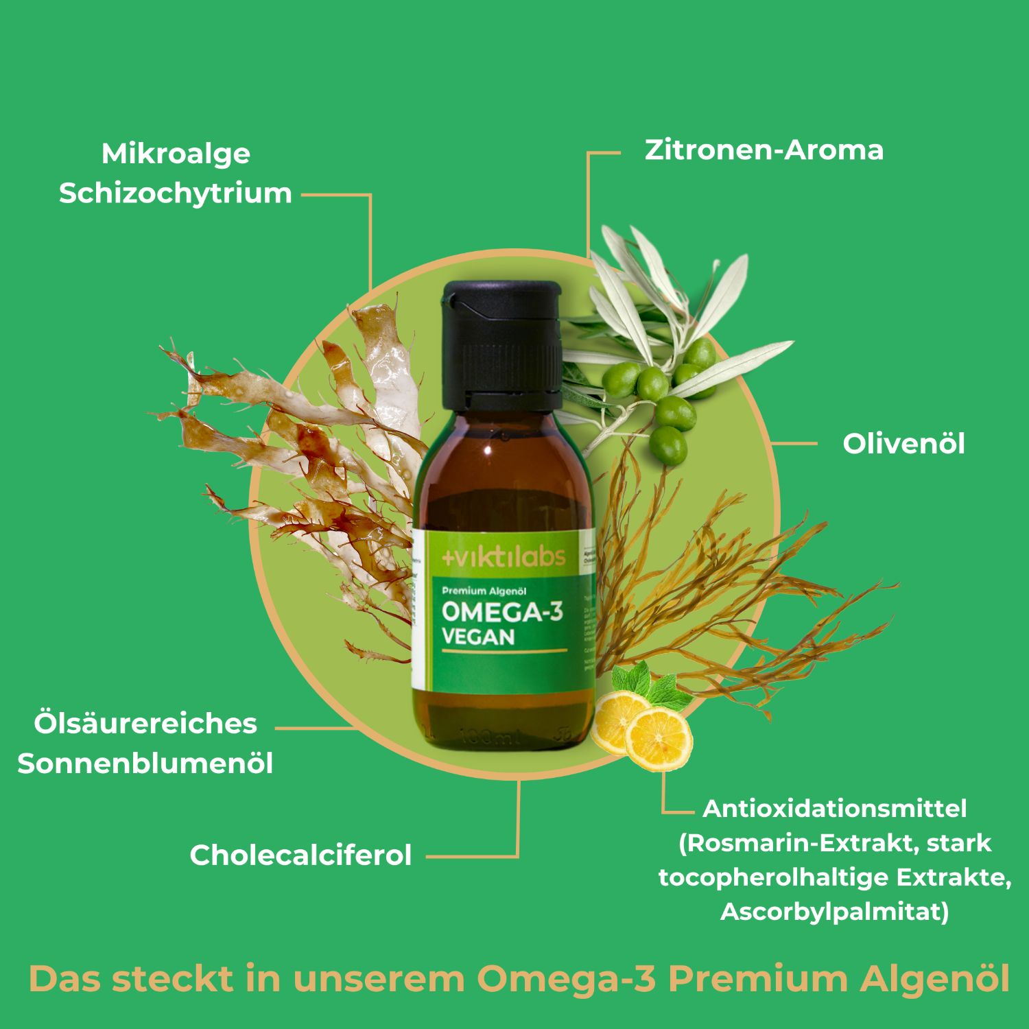 Viktilabs Omega-3 Vegan: Natürliche Quelle aus Algenöl